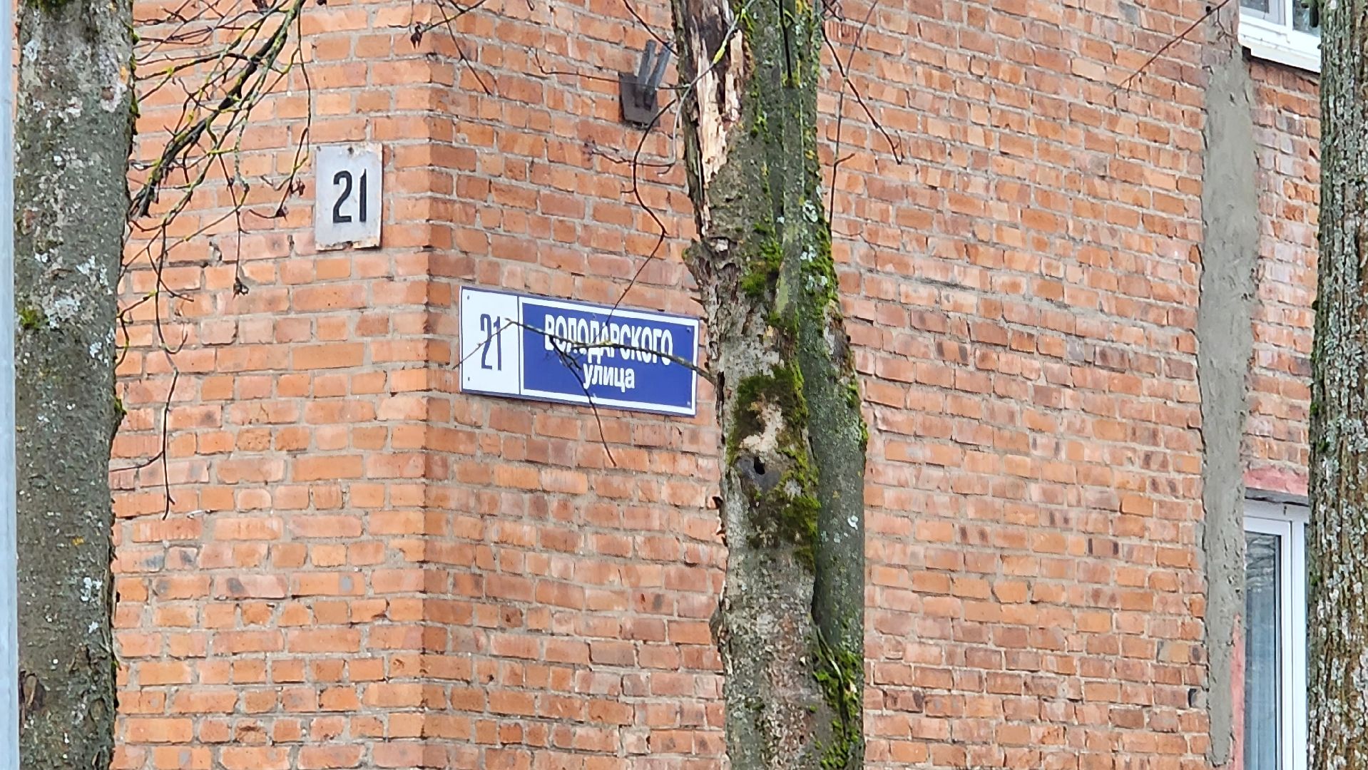 истра, выездная администрация, общество,