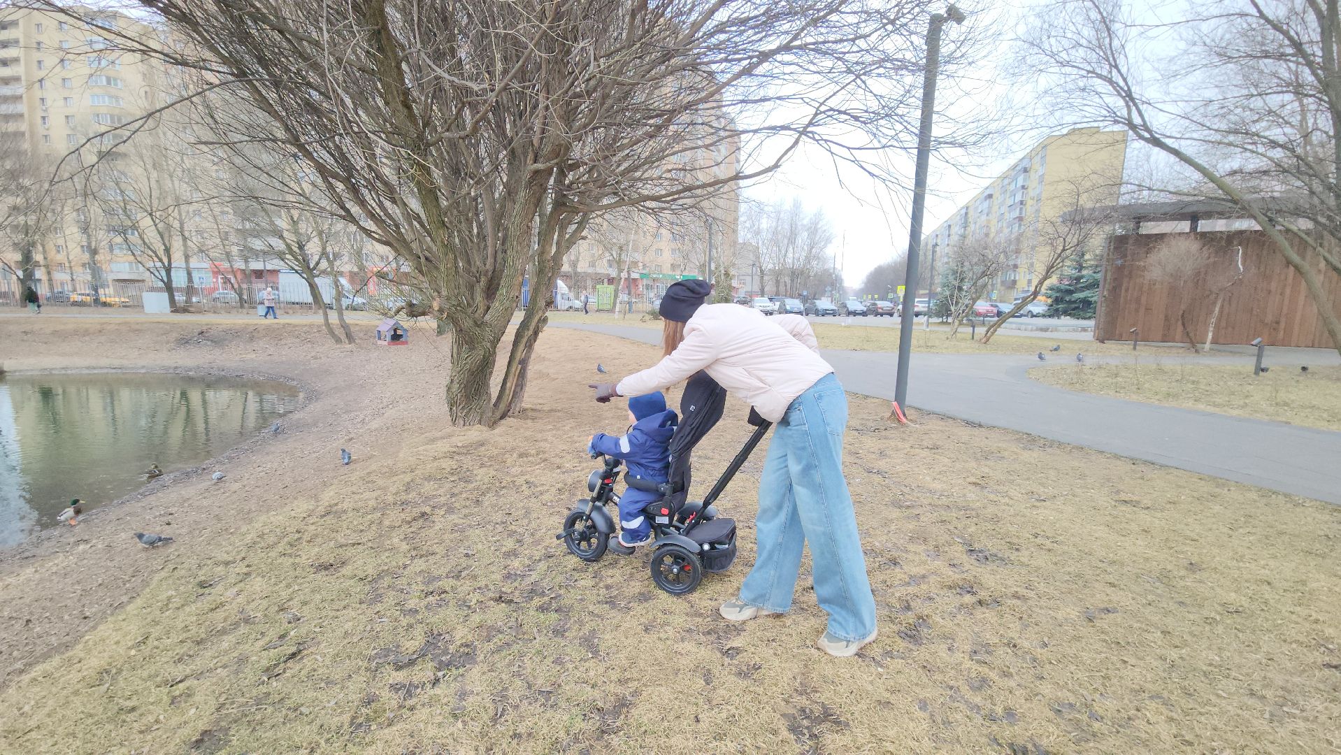 Люберцы, утки, наташинские пруды, наташинский парк, реконструкция,