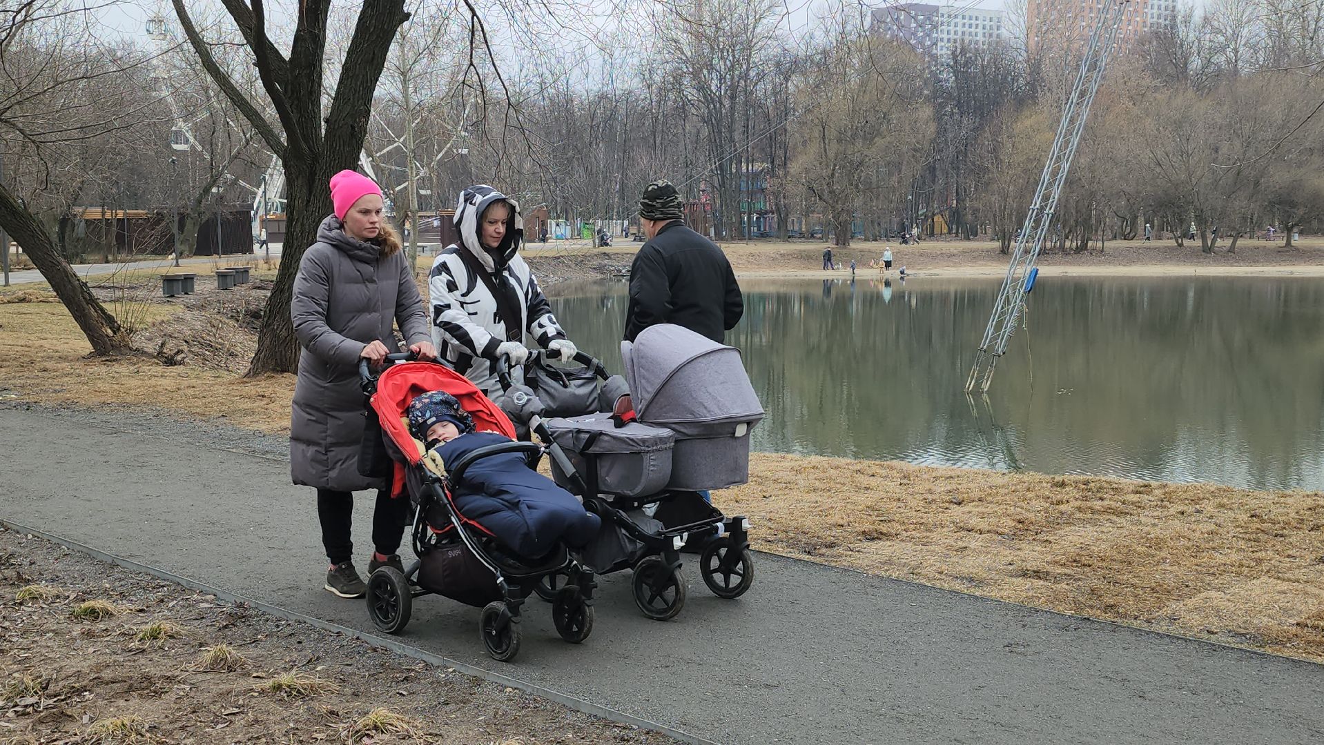 Люберцы, утки, наташинские пруды, наташинский парк, реконструкция,