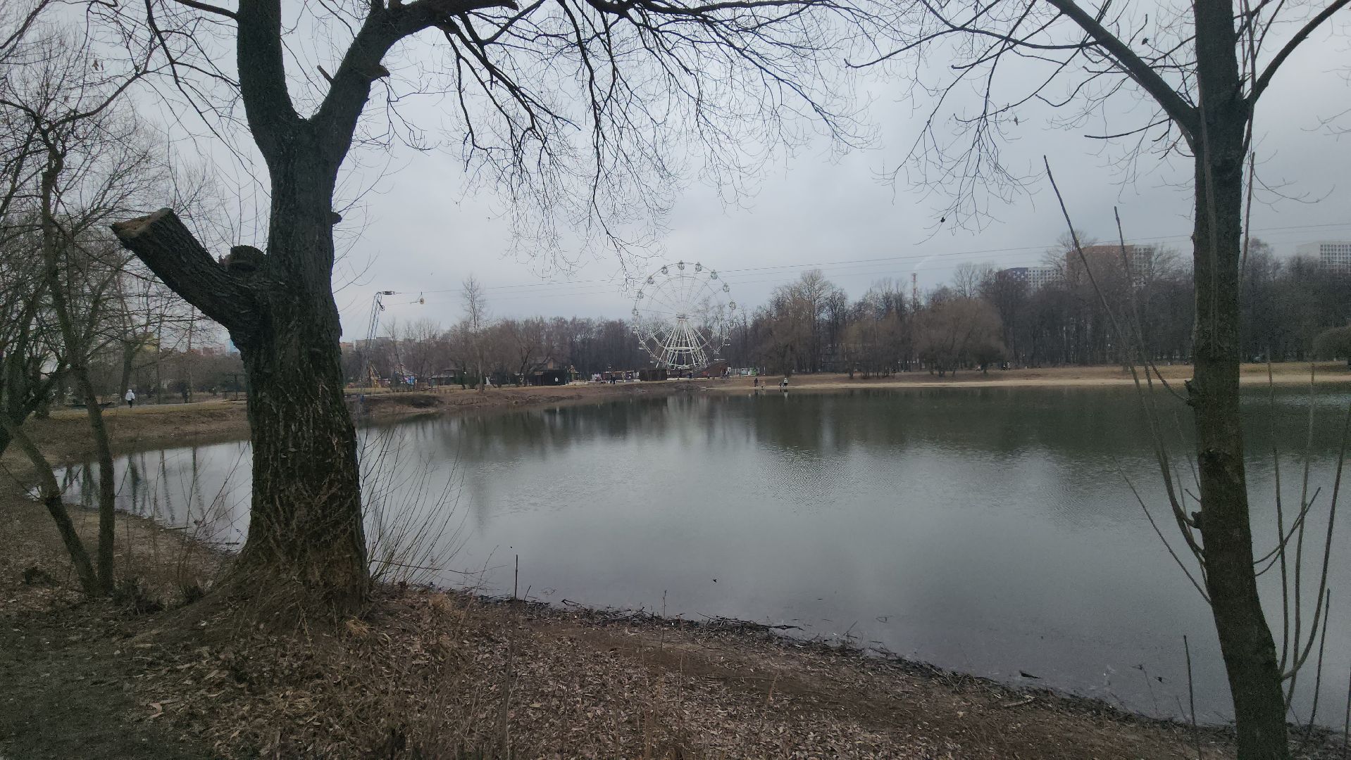 Люберцы, утки, наташинские пруды, наташинский парк, реконструкция,