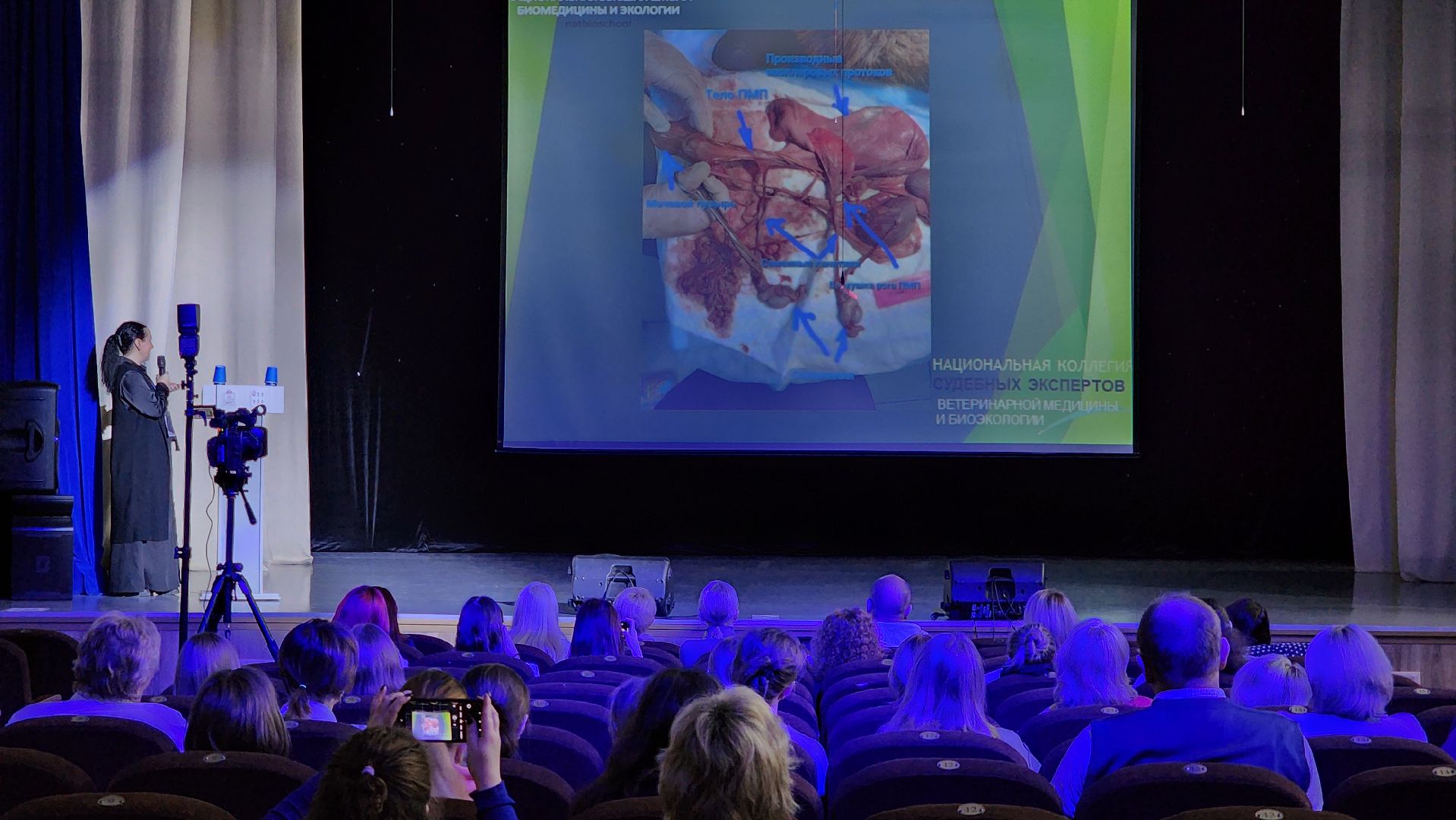 конференция, ветеринария, научная конференция, Ногинск, Богородский городской округ,