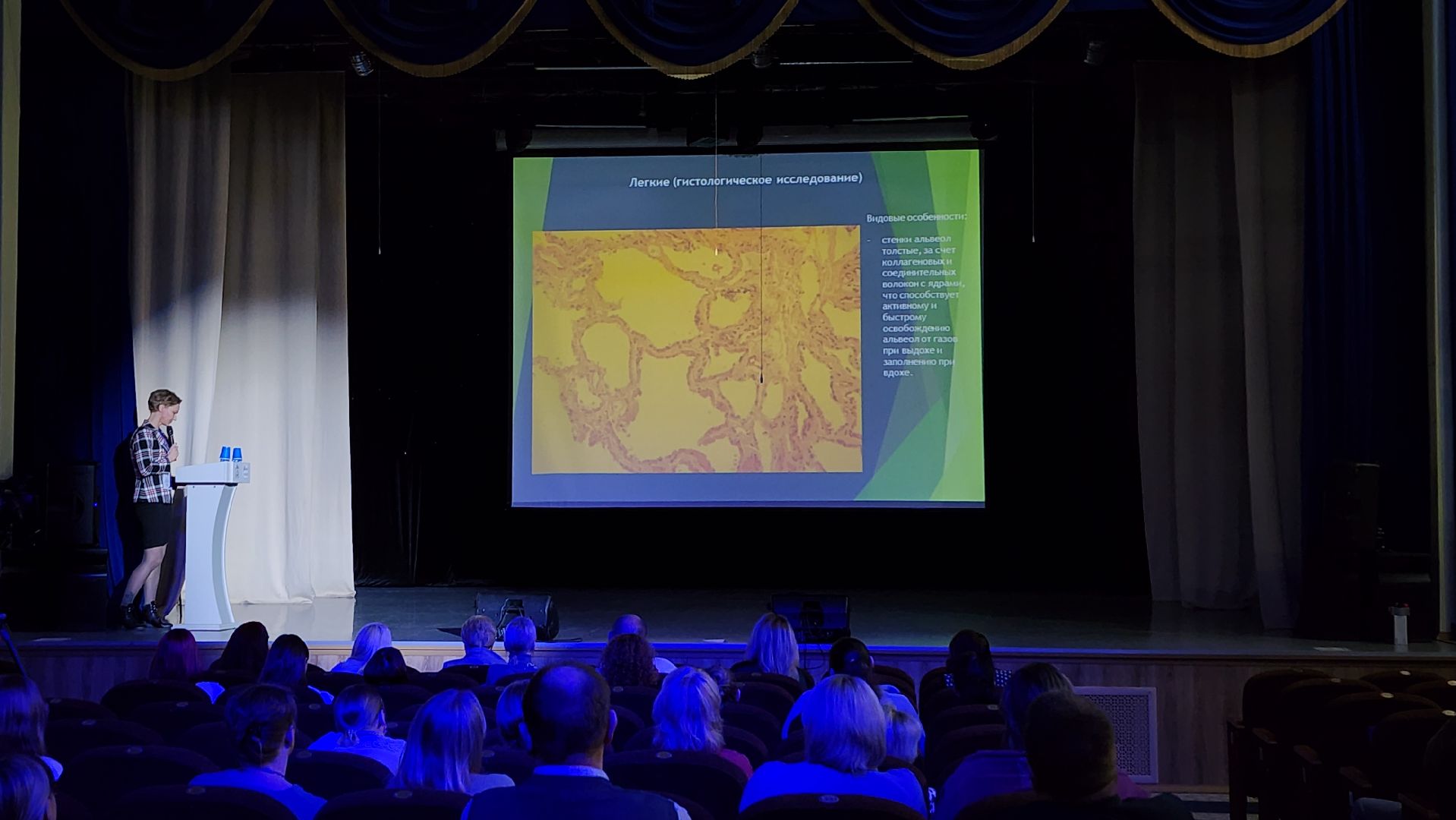 ветеринария, пироплазмоз, клещи, Ногинск, Богородский городской округ,