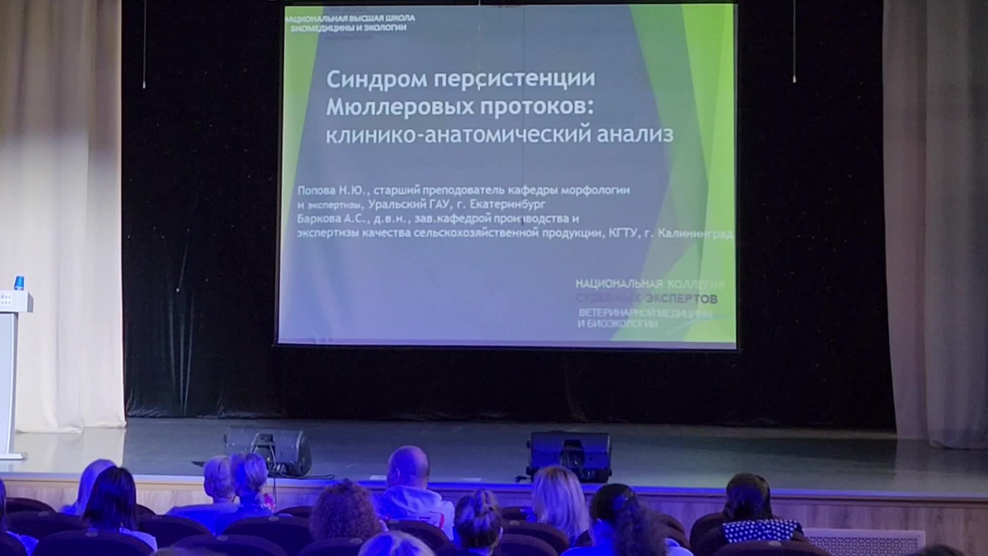 /mediabank_mount//66146/e02b776ea2cfa584b602c5103f2bbcd5.jpg