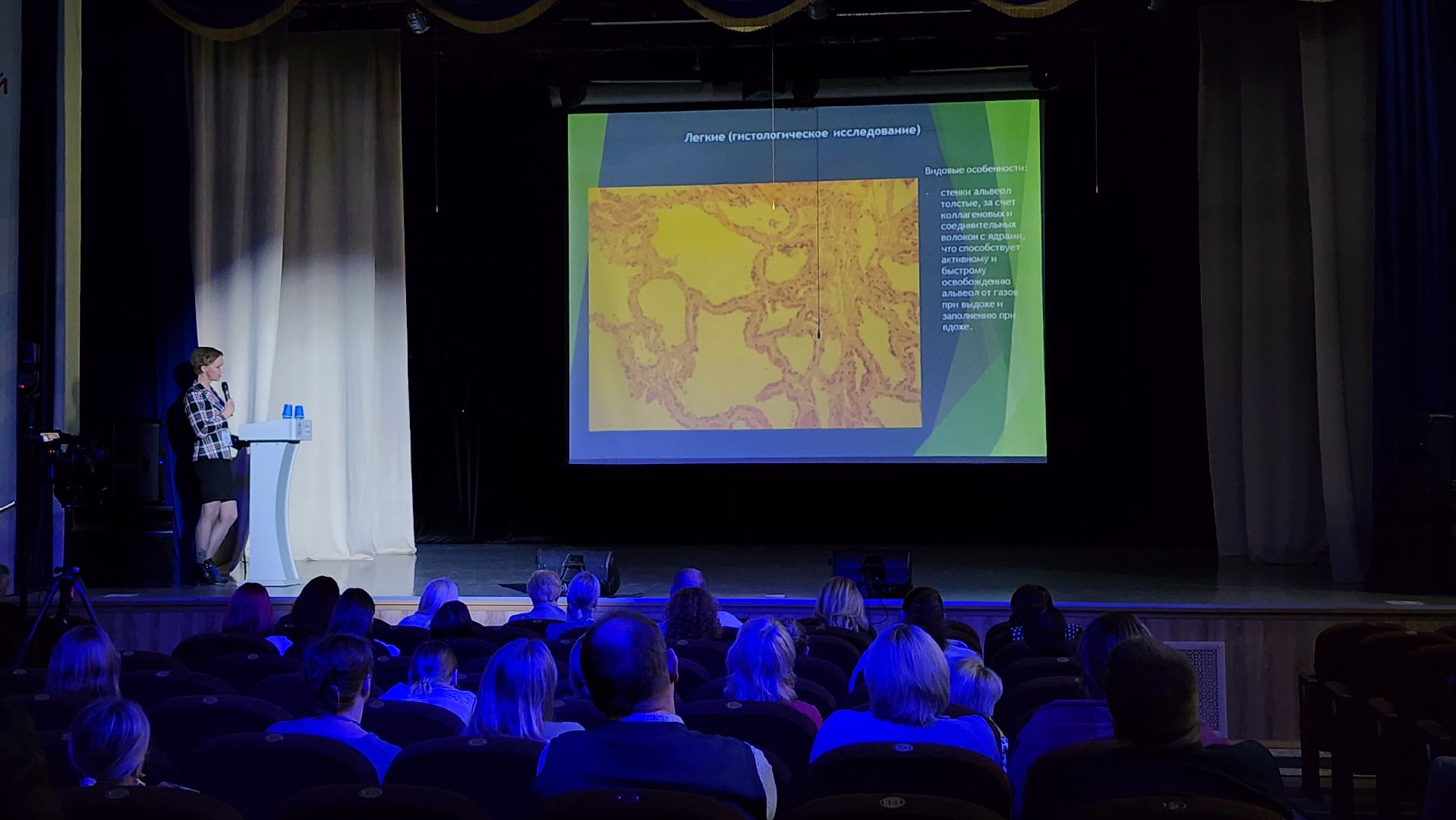 ветеринария, пироплазмоз, клещи, Ногинск, Богородский городской округ,