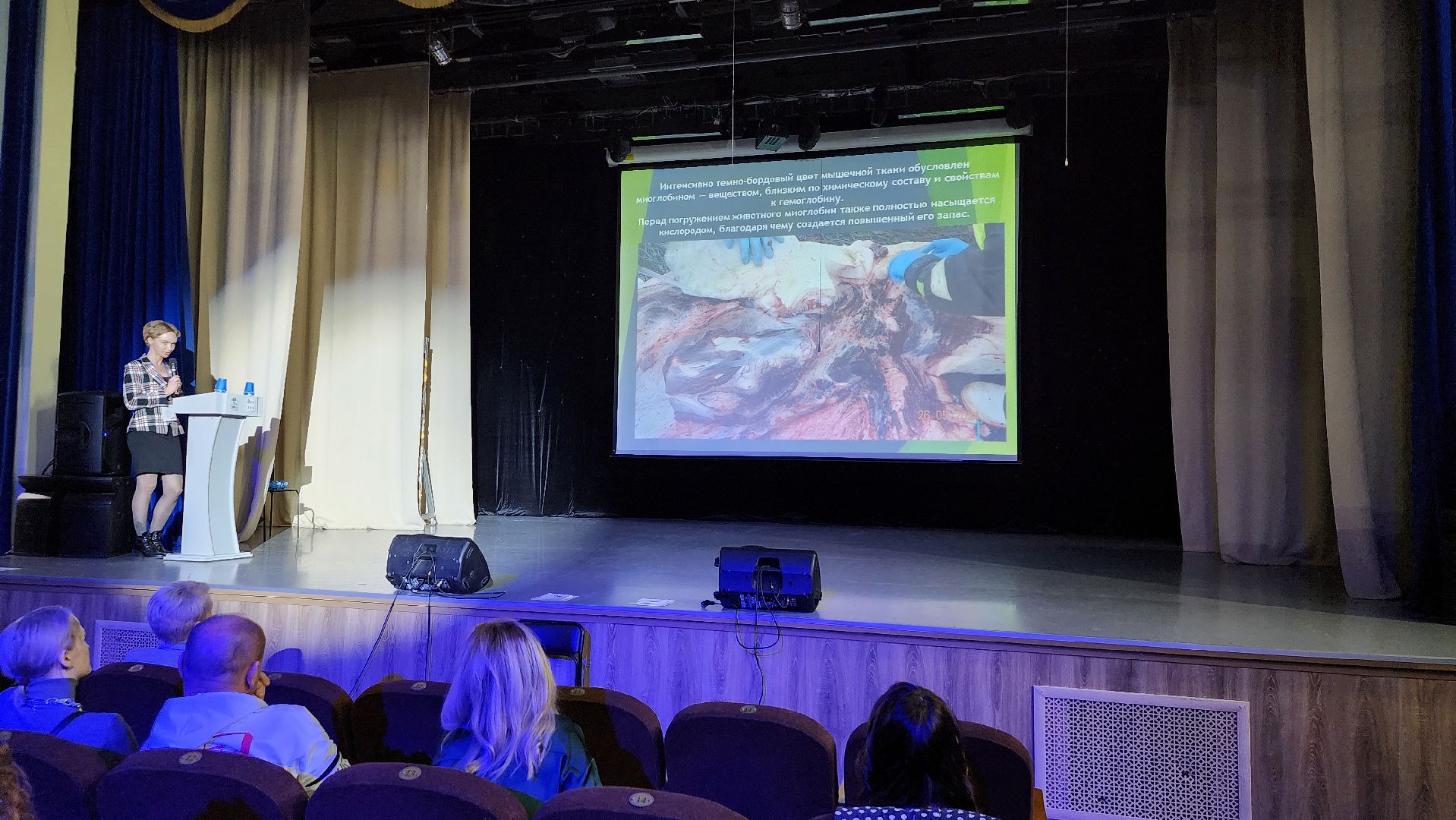 ветеринария, пироплазмоз, клещи, Ногинск, Богородский городской округ,