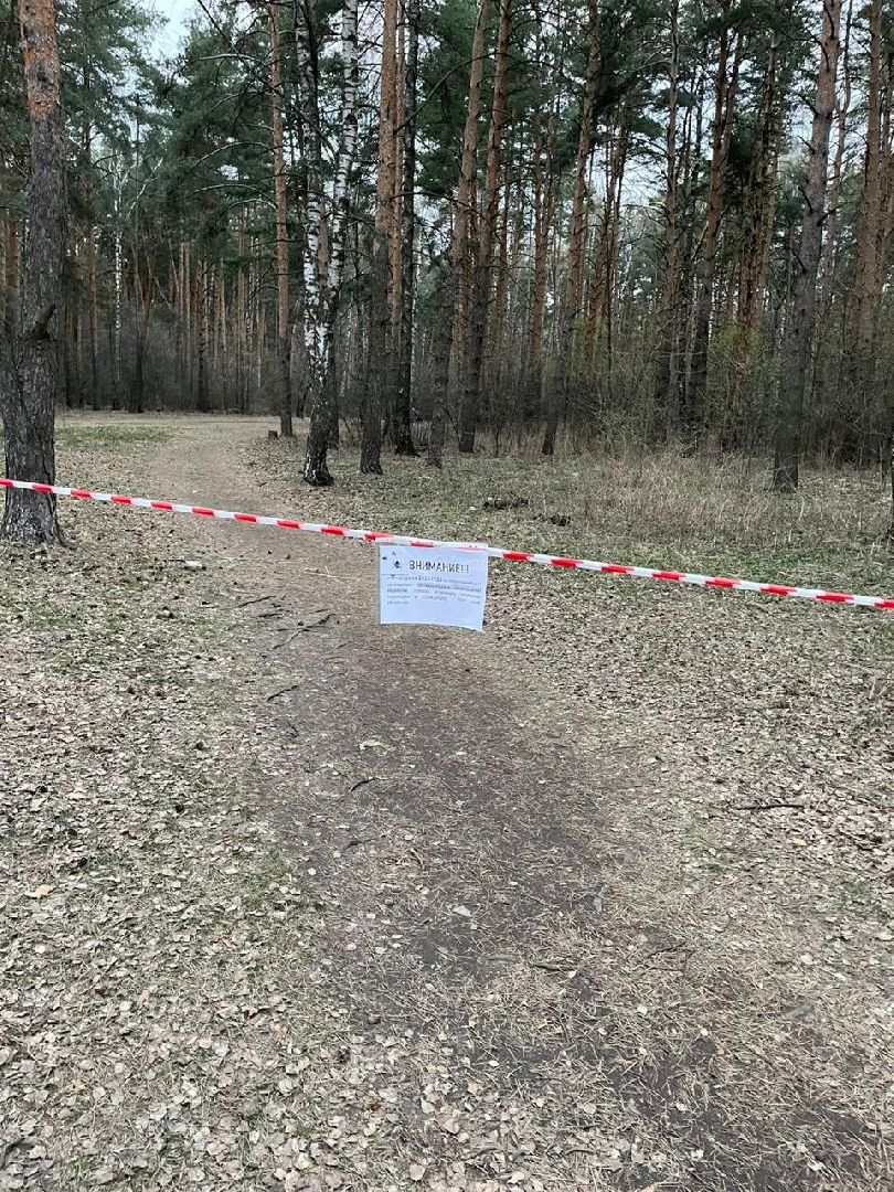 акарицид, лесопарки, обработка, благоустройство, Котельники