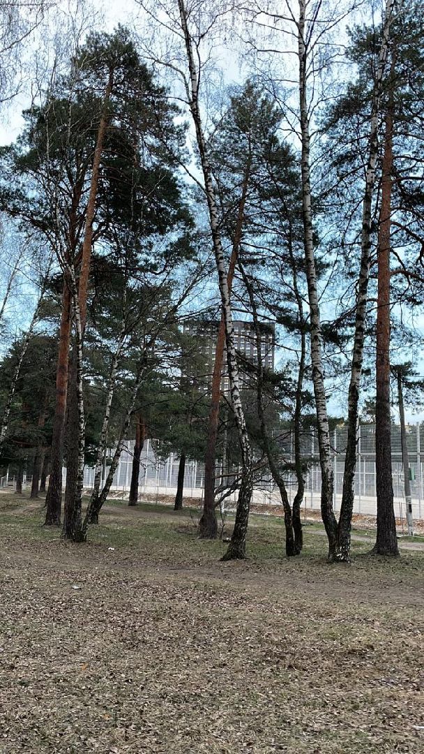 акарицид, лесопарки, обработка, благоустройство, Котельники