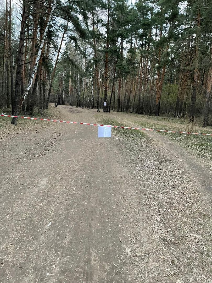 акарицид, лесопарки, обработка, благоустройство, Котельники