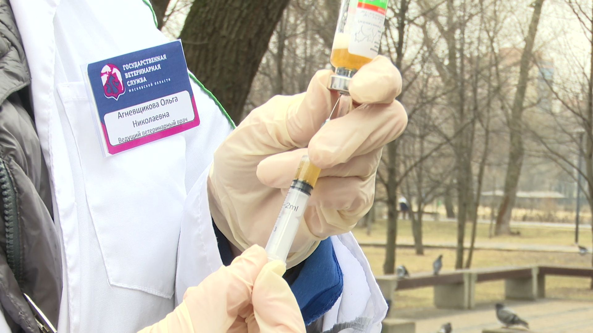 Реутов, вакцинация, медицина, бешенство, собаки и кошки,