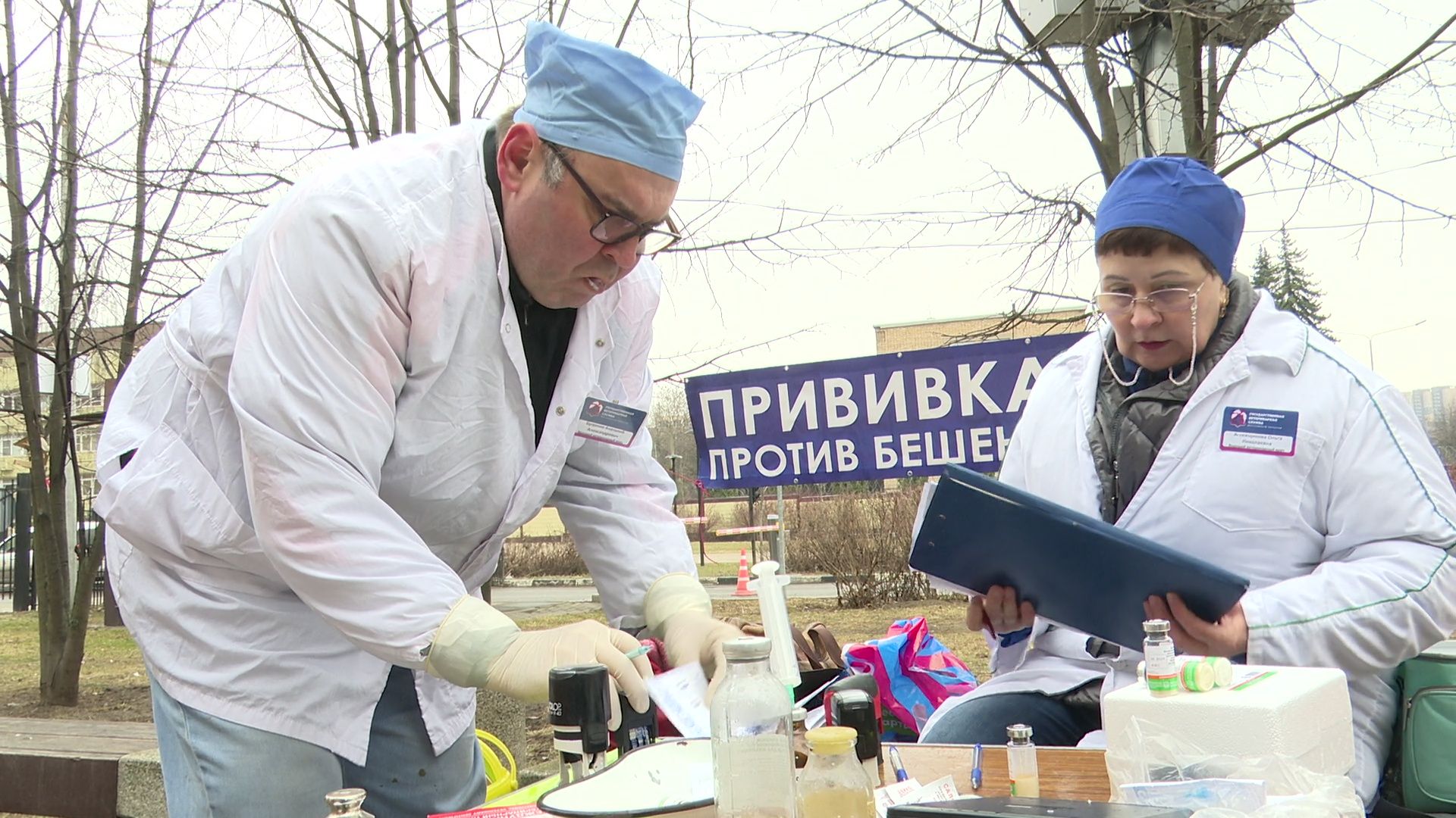 Реутов, вакцинация, медицина, бешенство, собаки и кошки,