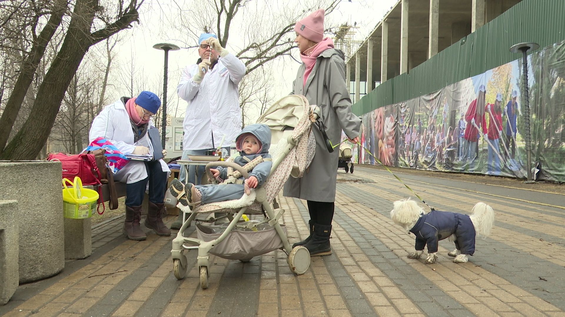 Реутов, вакцинация, медицина, бешенство, собаки и кошки,