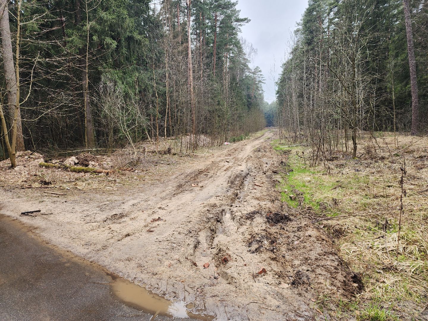 Черноголовка, Теплосети, Благоустройство,
