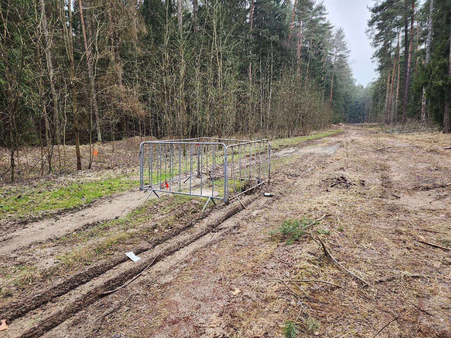 Черноголовка, Теплосети, Благоустройство,