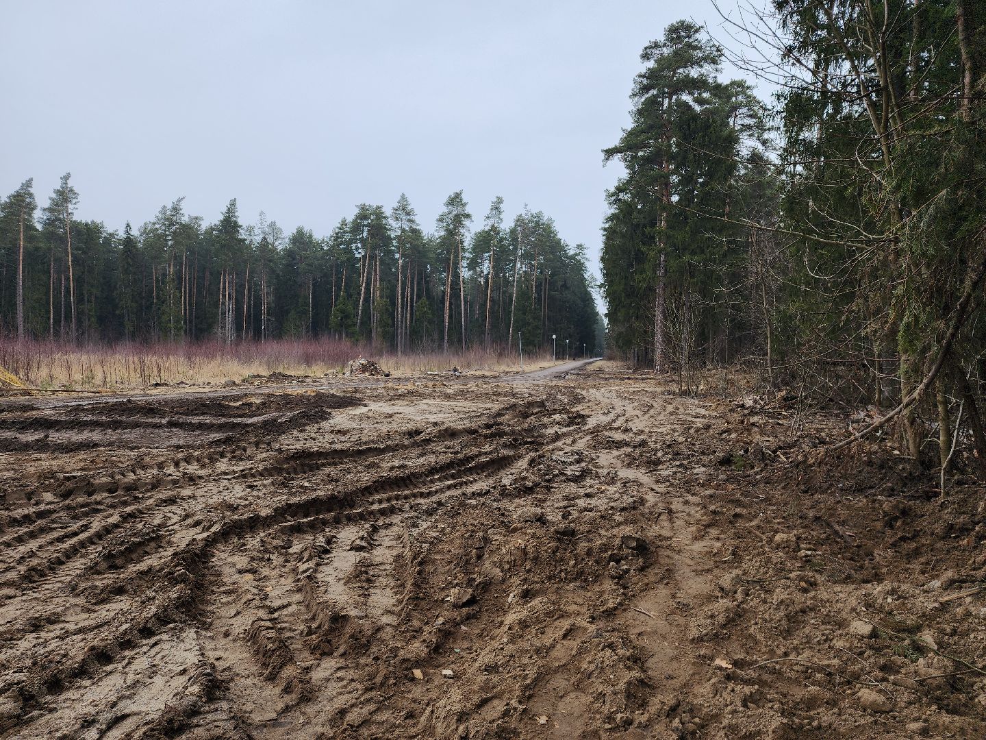 Черноголовка, Теплосети, Благоустройство,