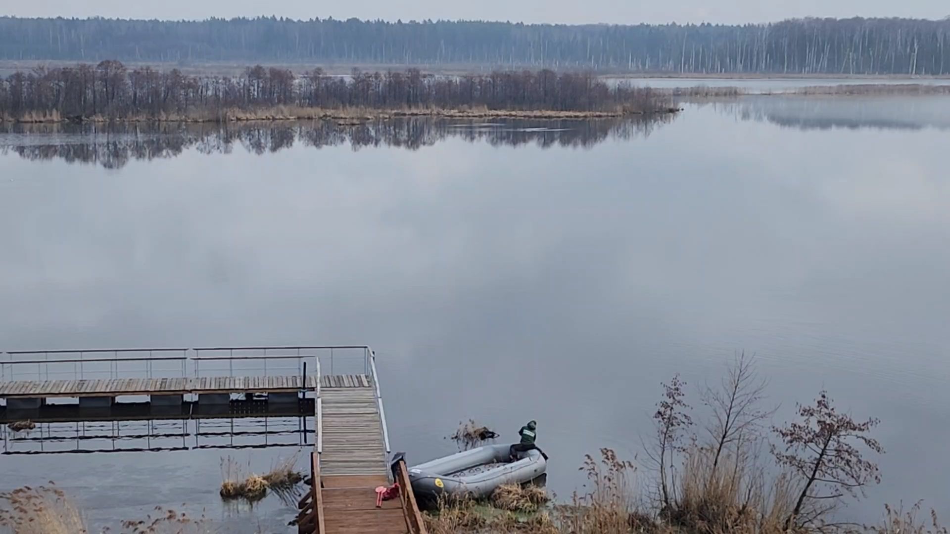 мытищи,лосиный остров, природа,