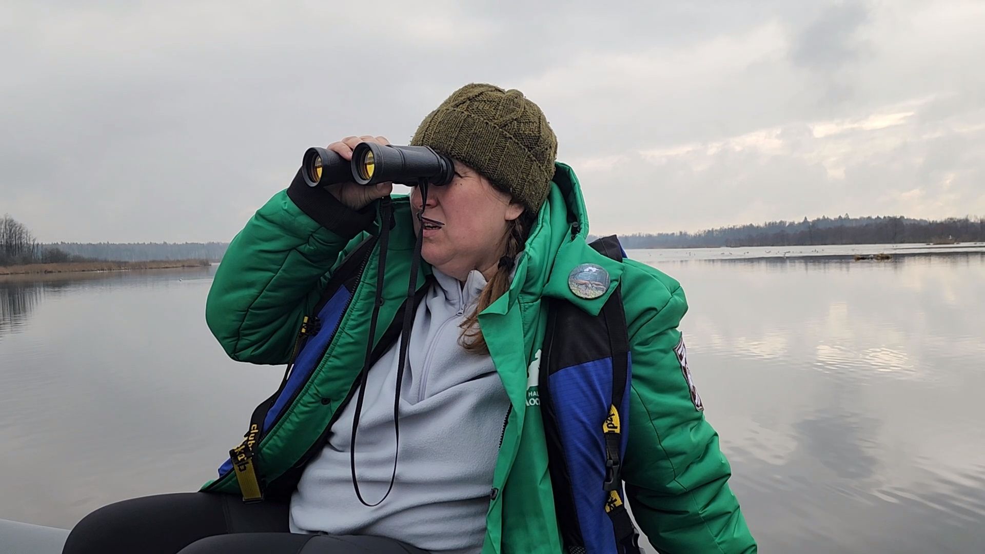 мытищи,лосиный остров, природа,