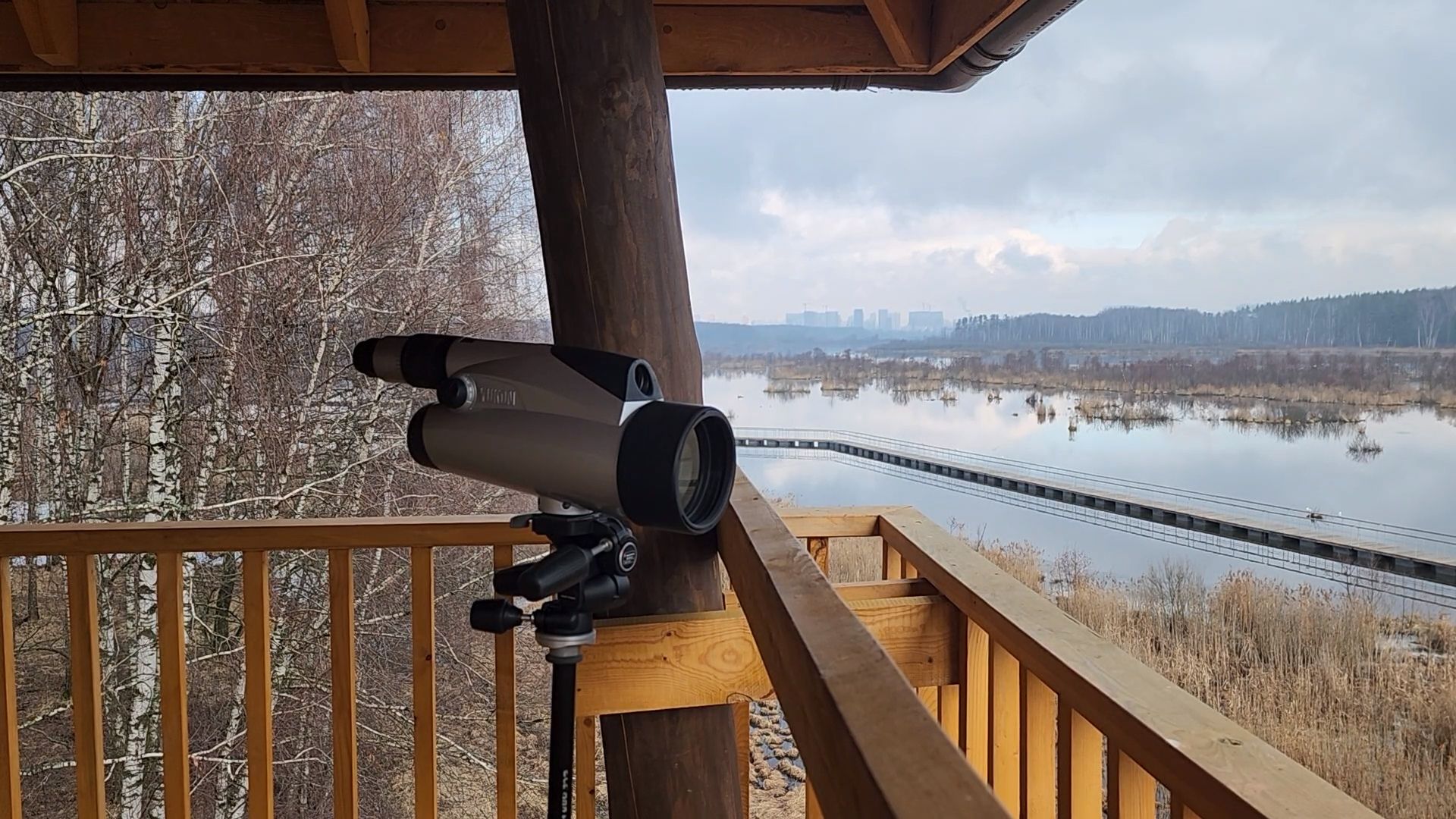 мытищи,лосиный остров, природа,