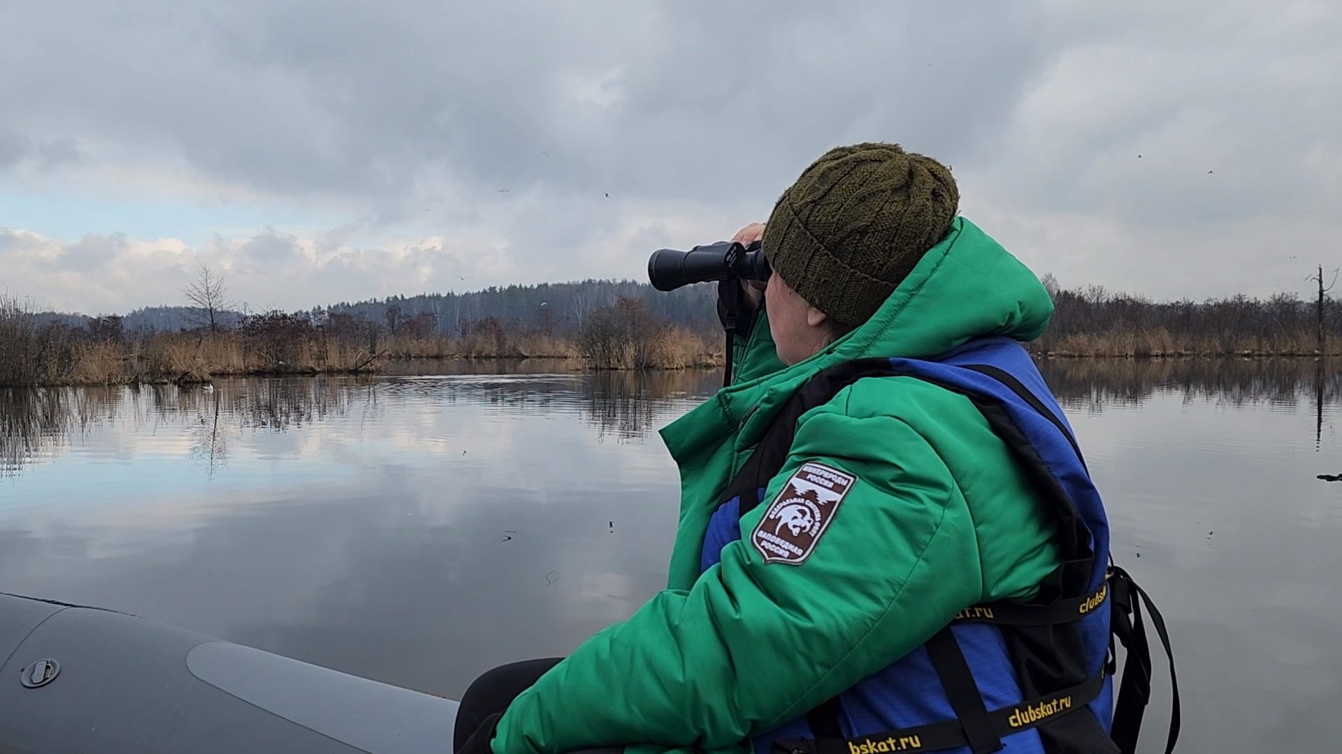 мытищи,лосиный остров, природа,