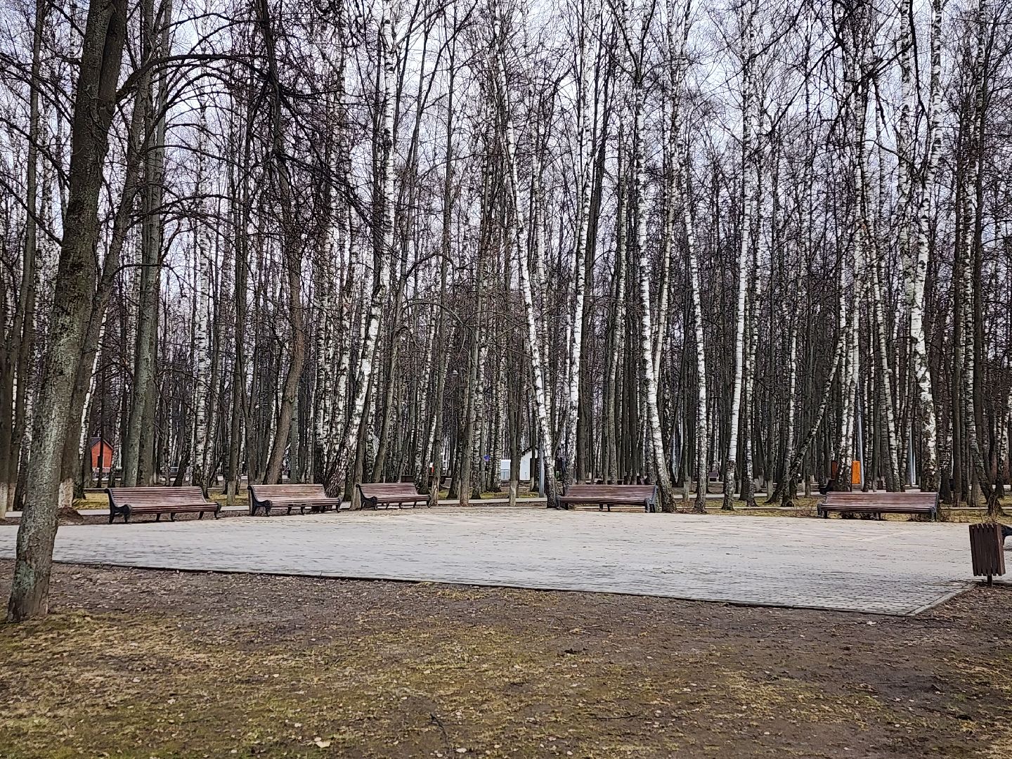 королёв, парк, благоустройство,