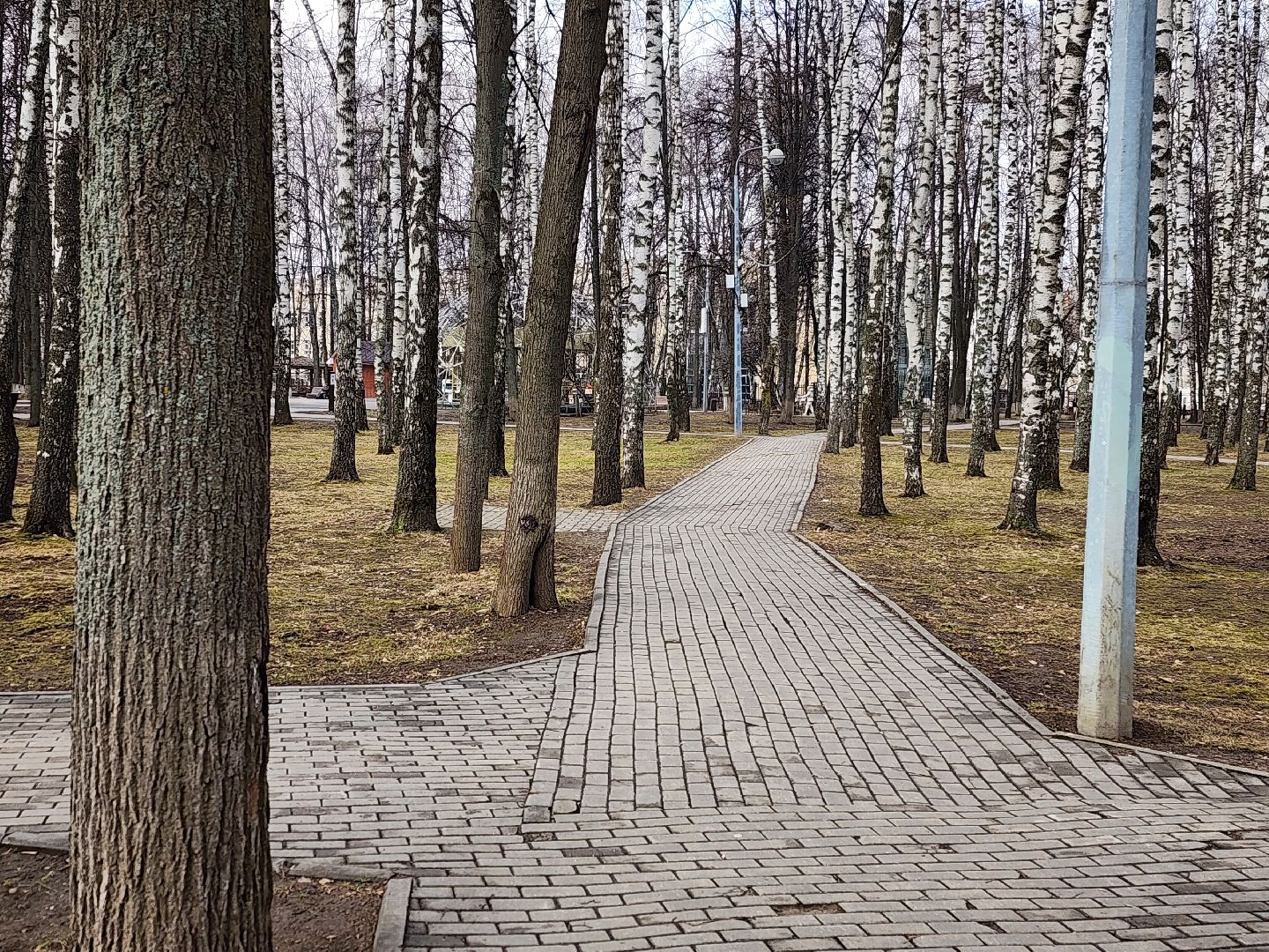 королёв, парк, благоустройство,