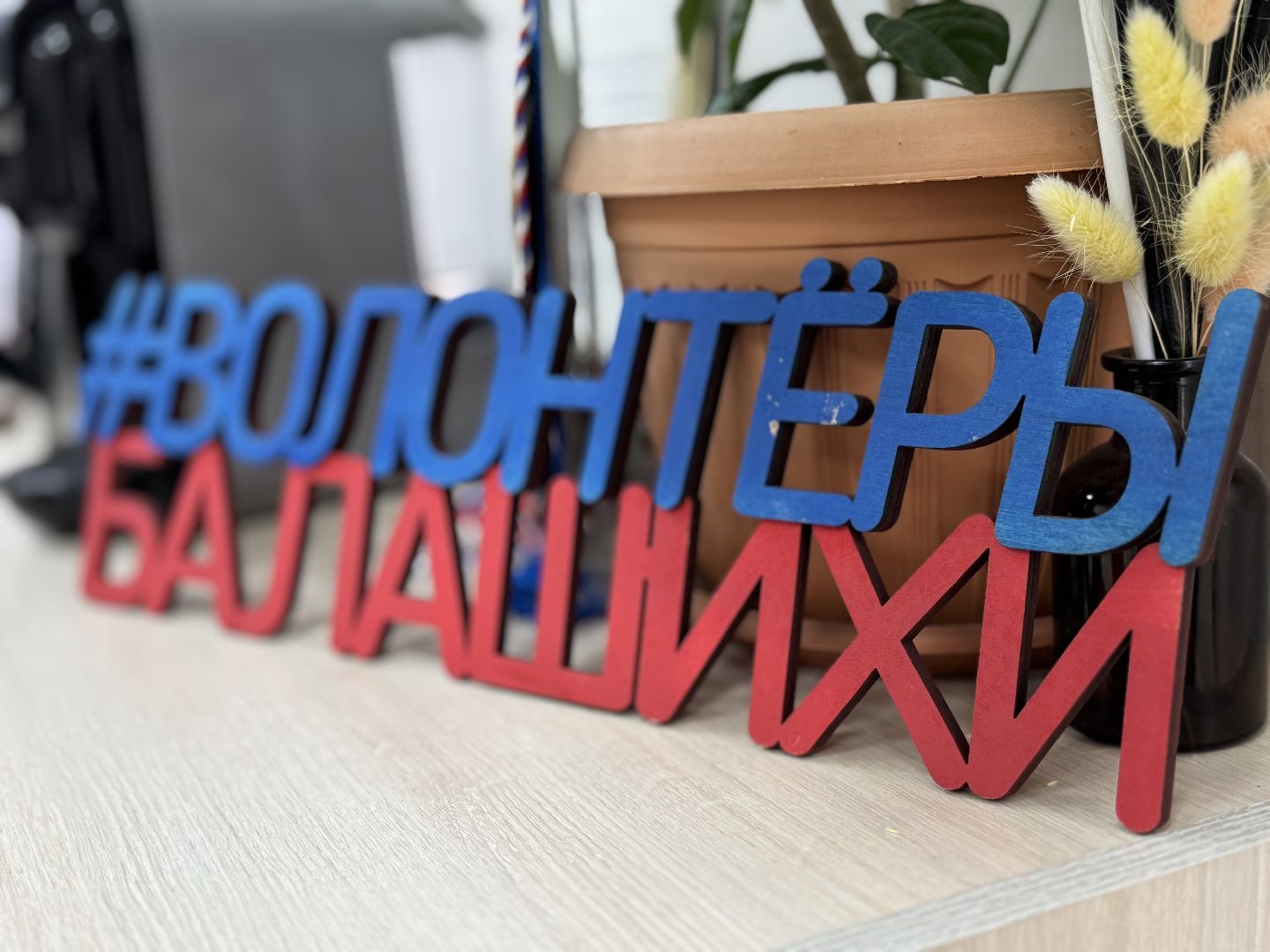 сво, волонтеры подмосковья, общественная палата Балашихи, Своих не бросаем,