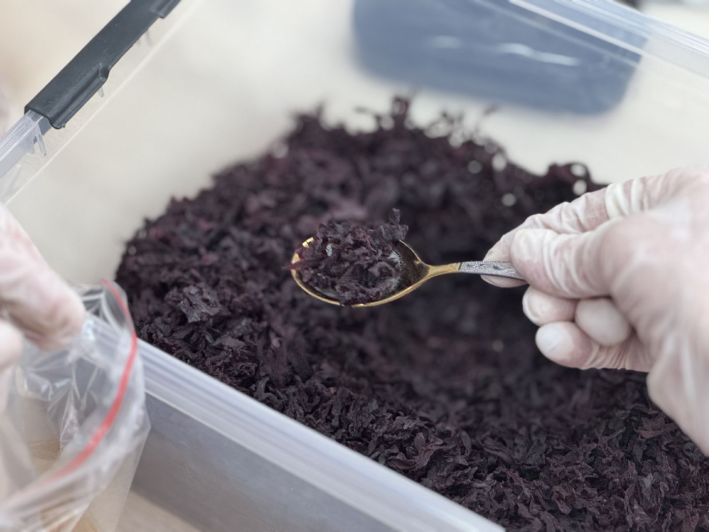 сво, волонтеры подмосковья, общественная палата Балашихи, Своих не бросаем,