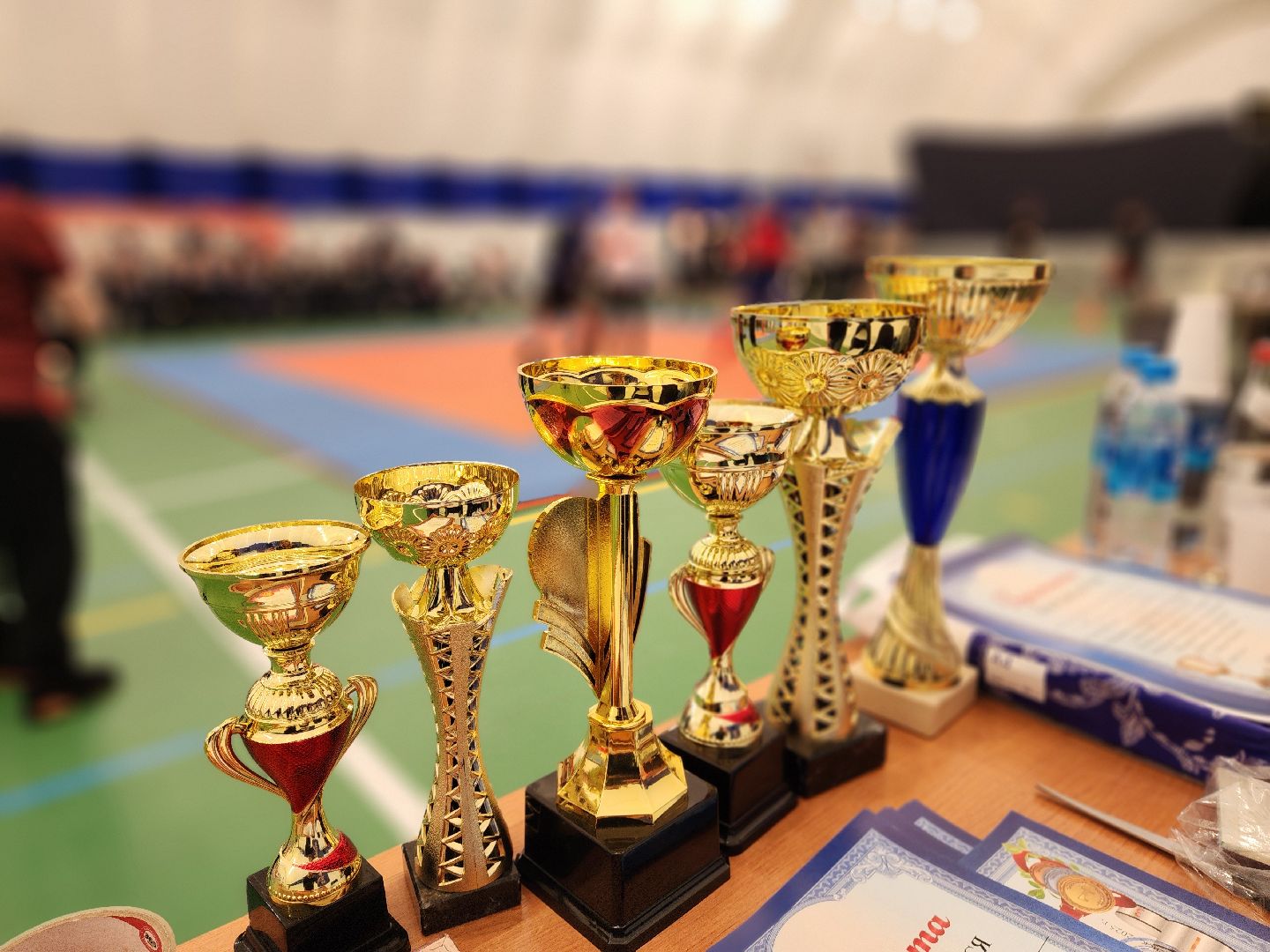 красноармейск, городской округ пушкинский, комплексное единоборство, спортивный турнир, кадеты,