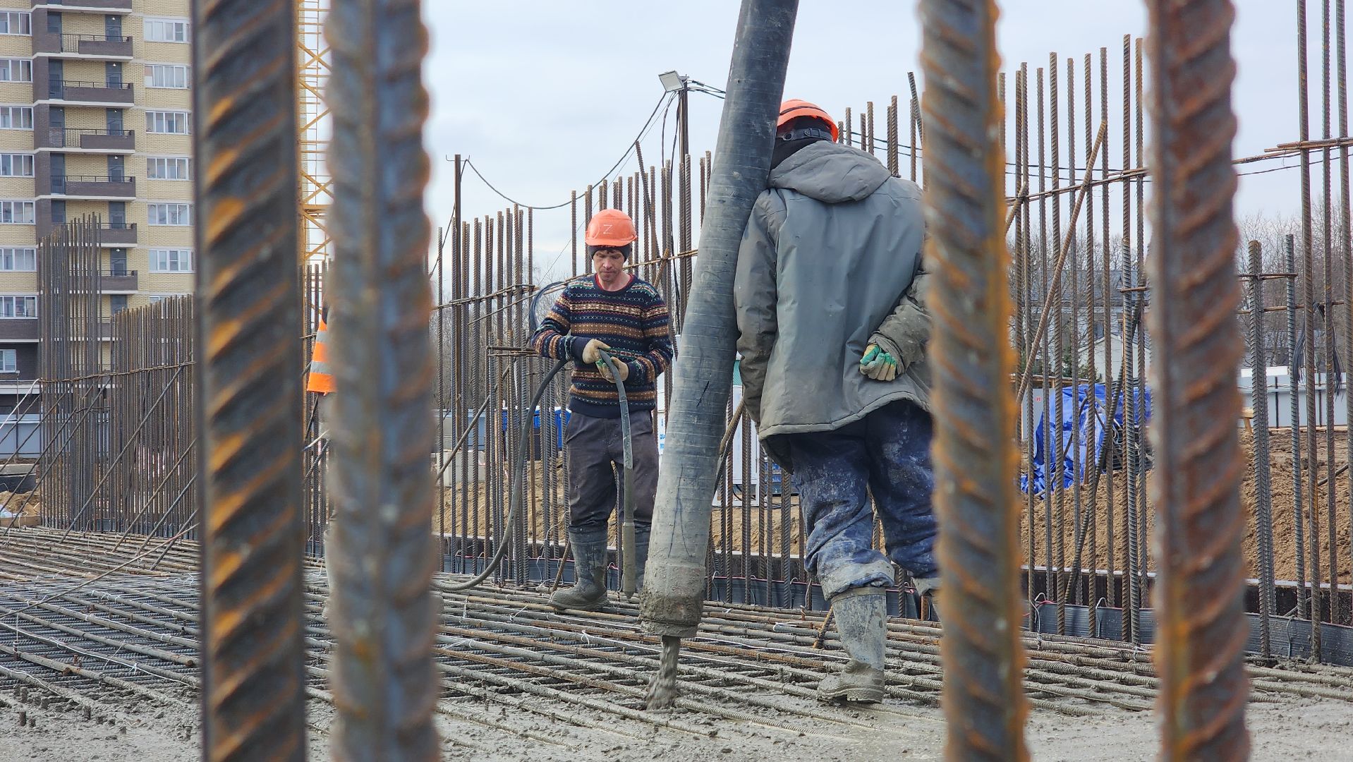 строительство, образование, новая школа, Лосино-Петровский,
