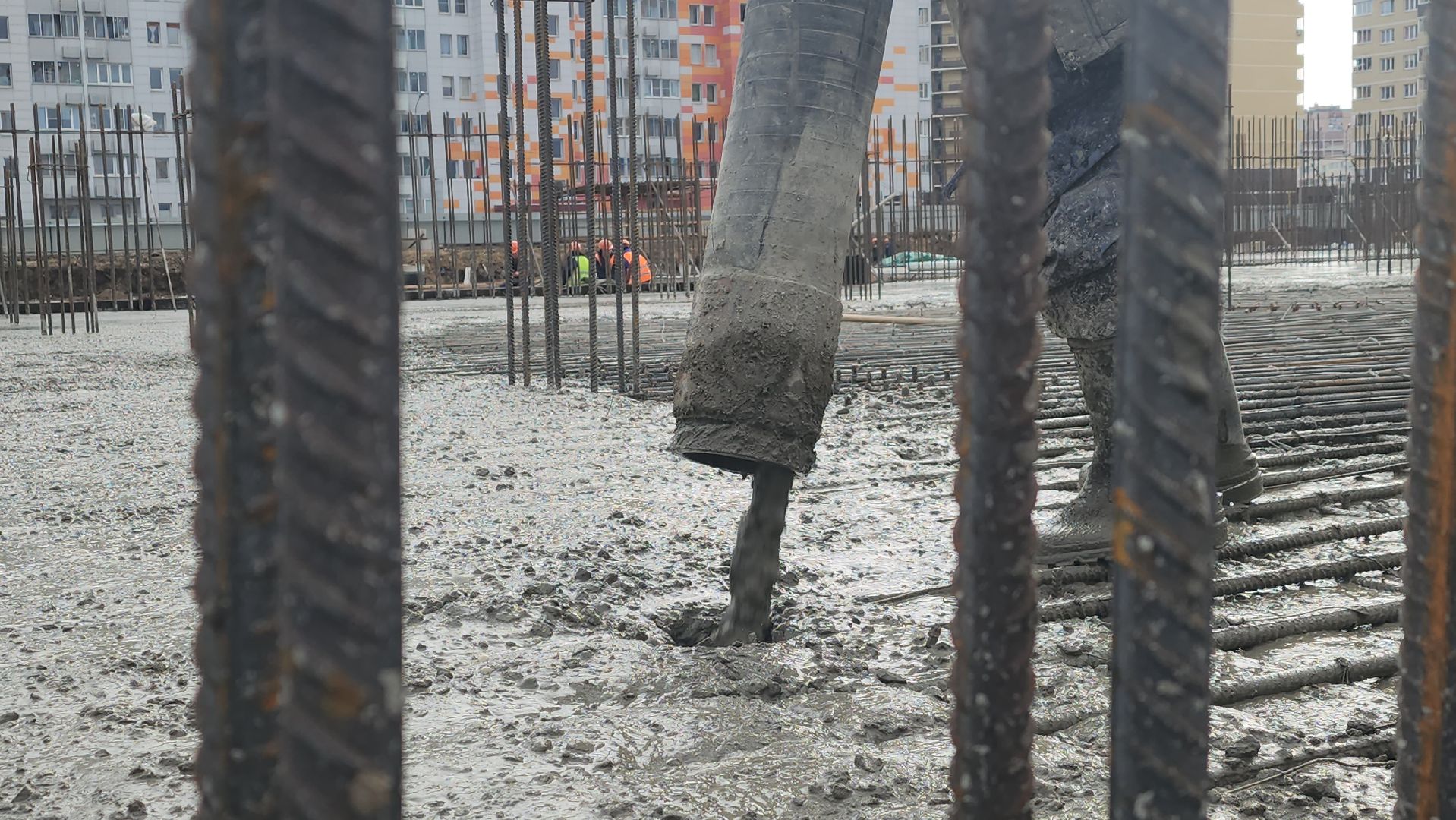 строительство, образование, новая школа, Лосино-Петровский,