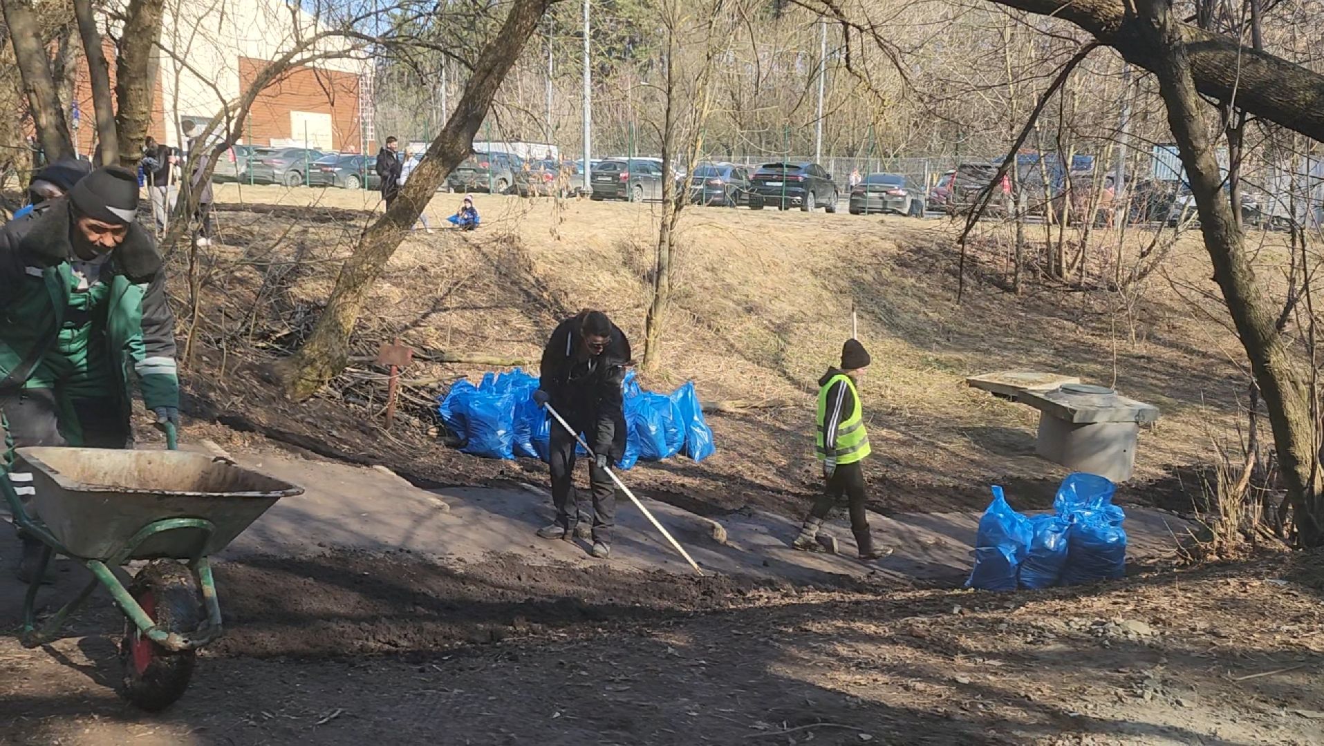 Уборка, Листва, Жители, Субботник,