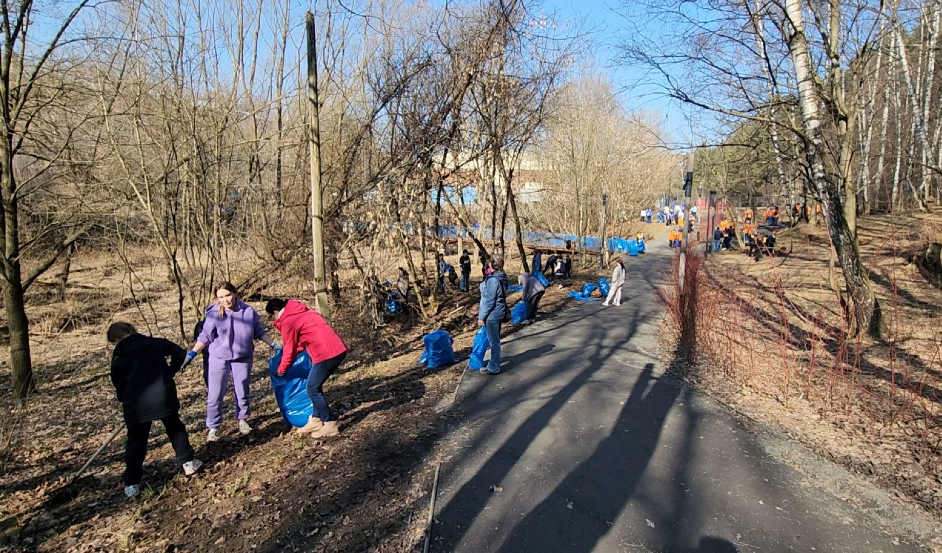 Уборка, Листва, Жители, Субботник,