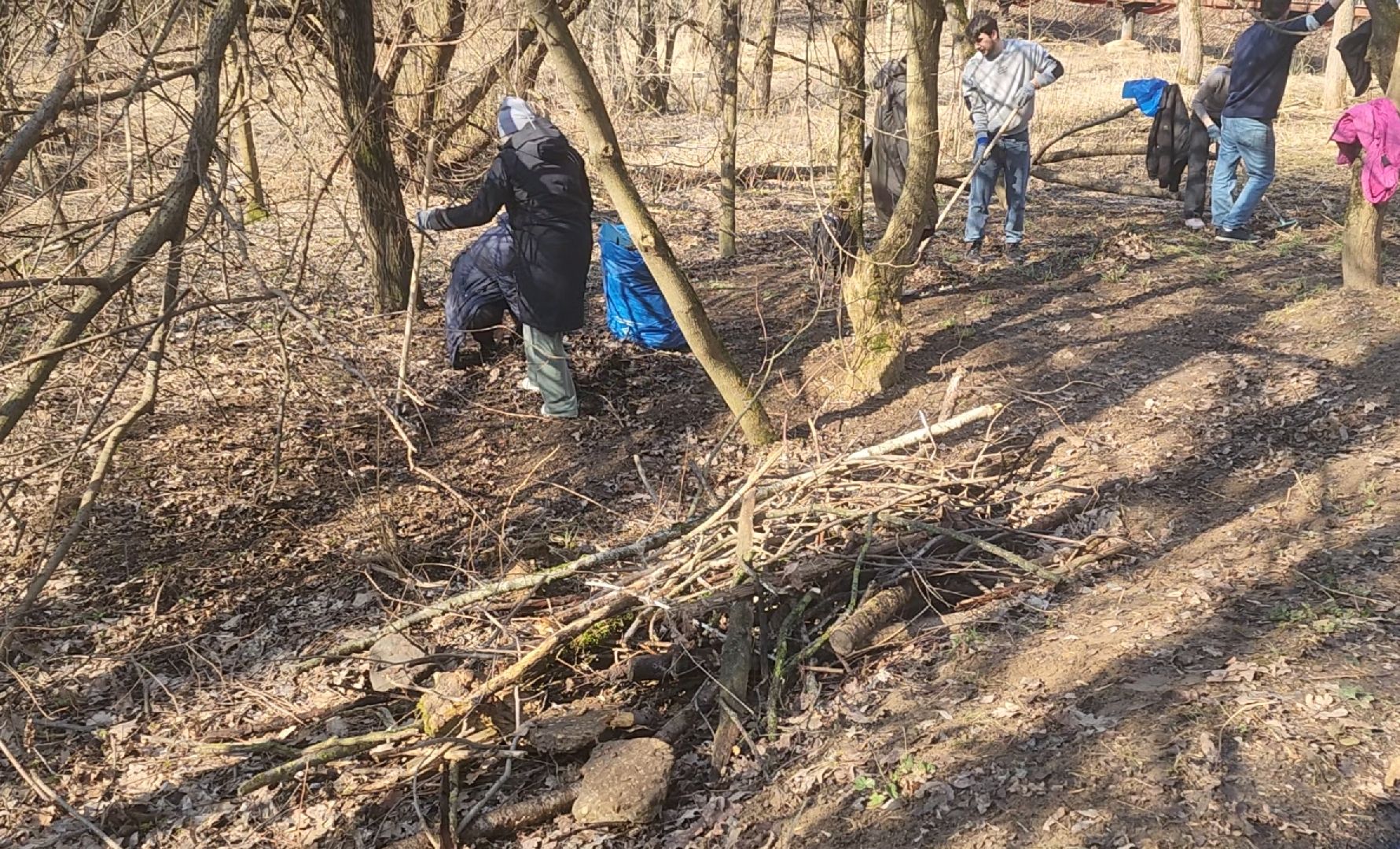 Уборка, Листва, Жители, Субботник,