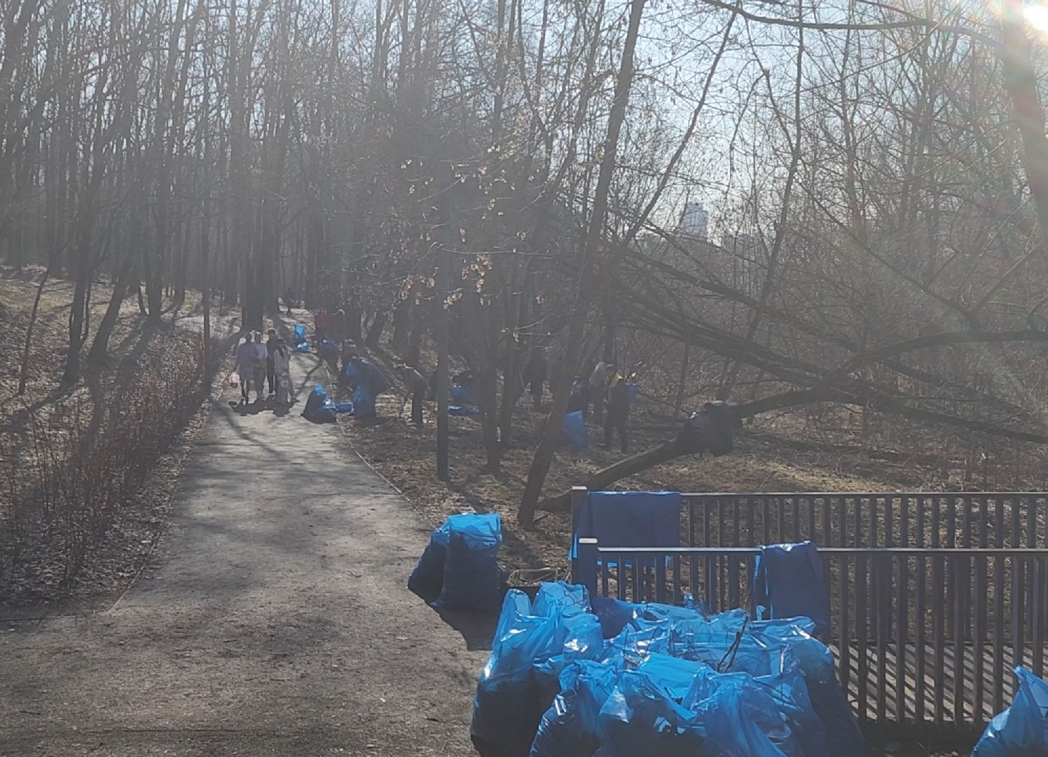 Уборка, Листва, Жители, Субботник,