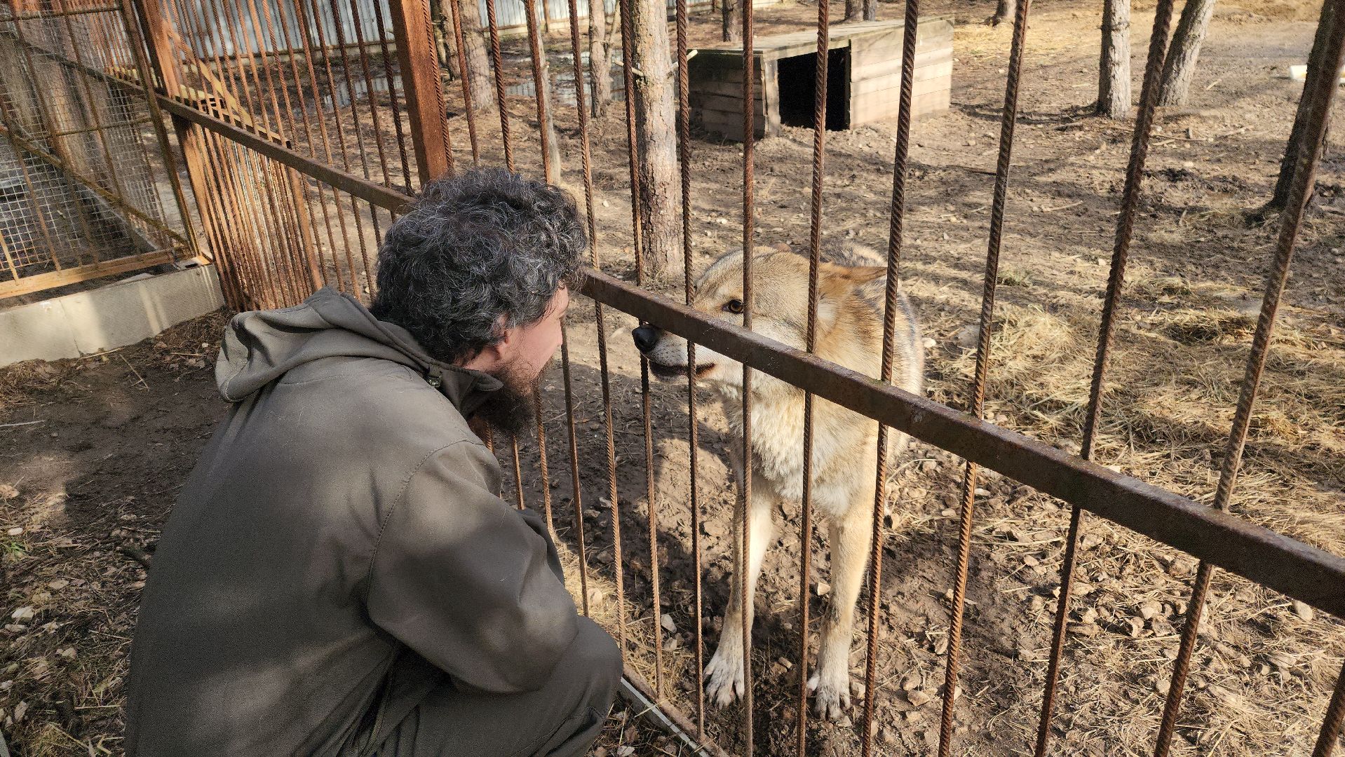 благотворительность, приют для животных,