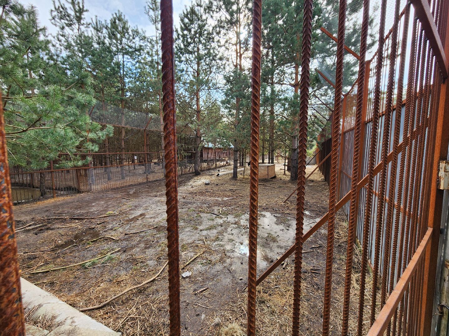 благотворительность, приют для животных,