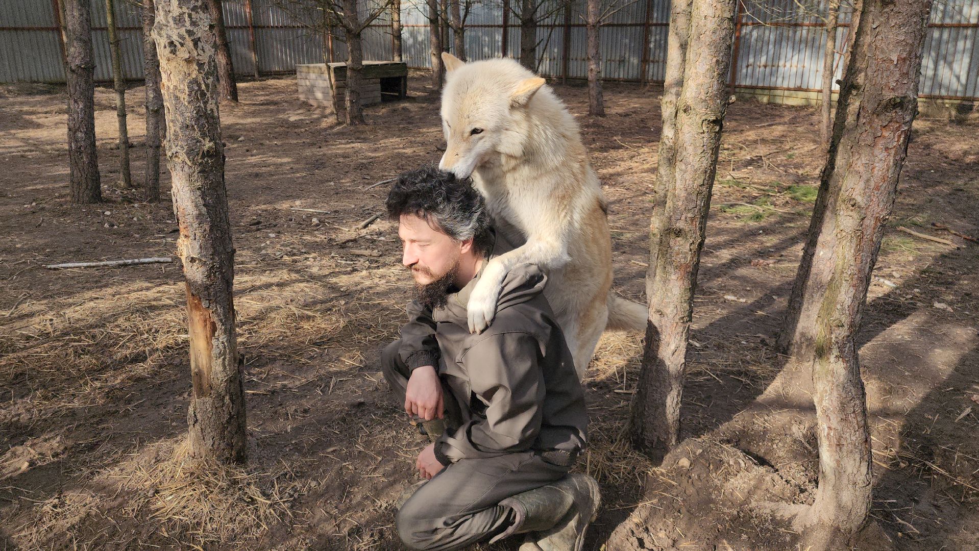 благотворительность, приют для животных,