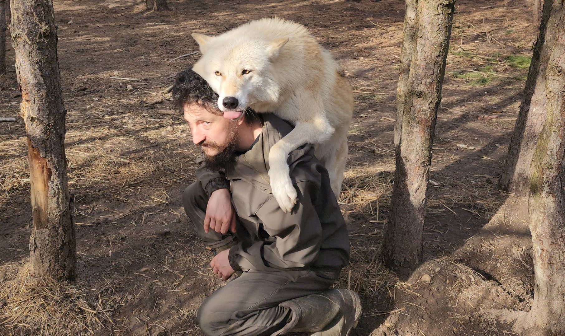 благотворительность, приют для животных,