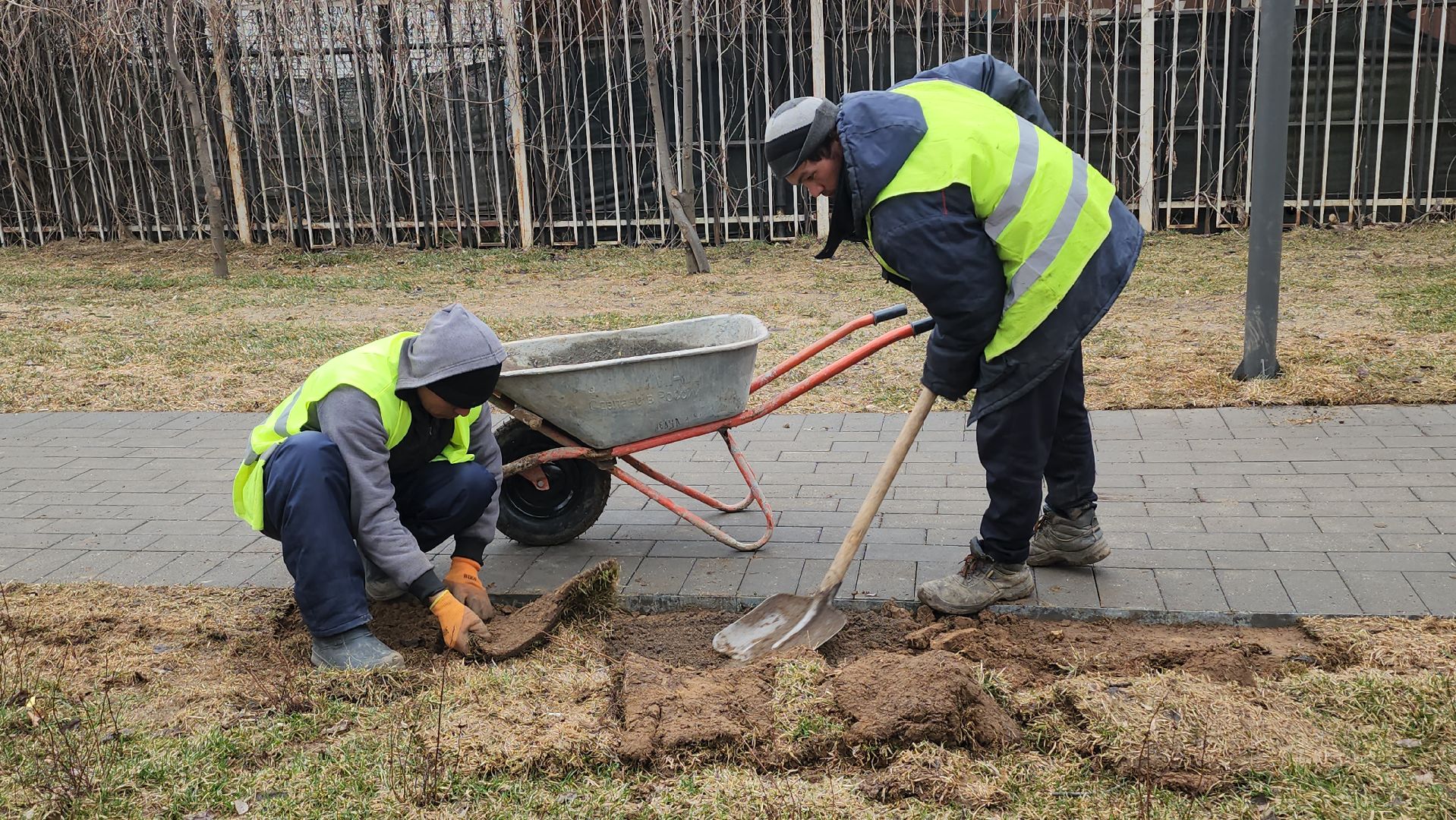 Люберцы, Наташинский парк, уборка, благоустройство,