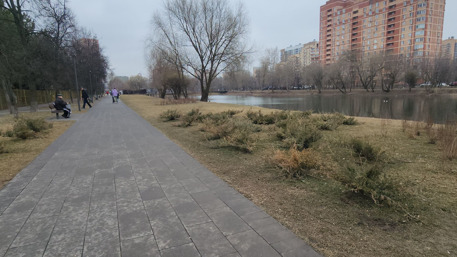 Люберцы, Наташинский парк, уборка, благоустройство,