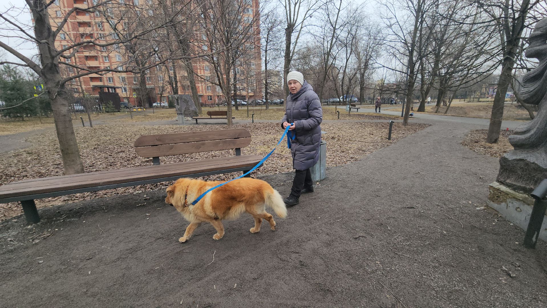 Люберцы, Наташинский парк, уборка, благоустройство,