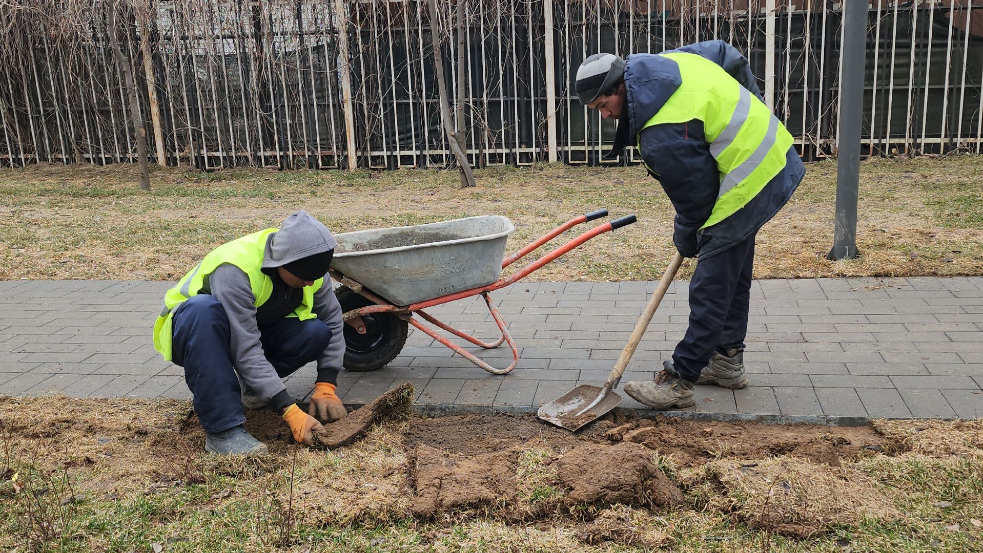 Люберцы, Наташинский парк, уборка, благоустройство,