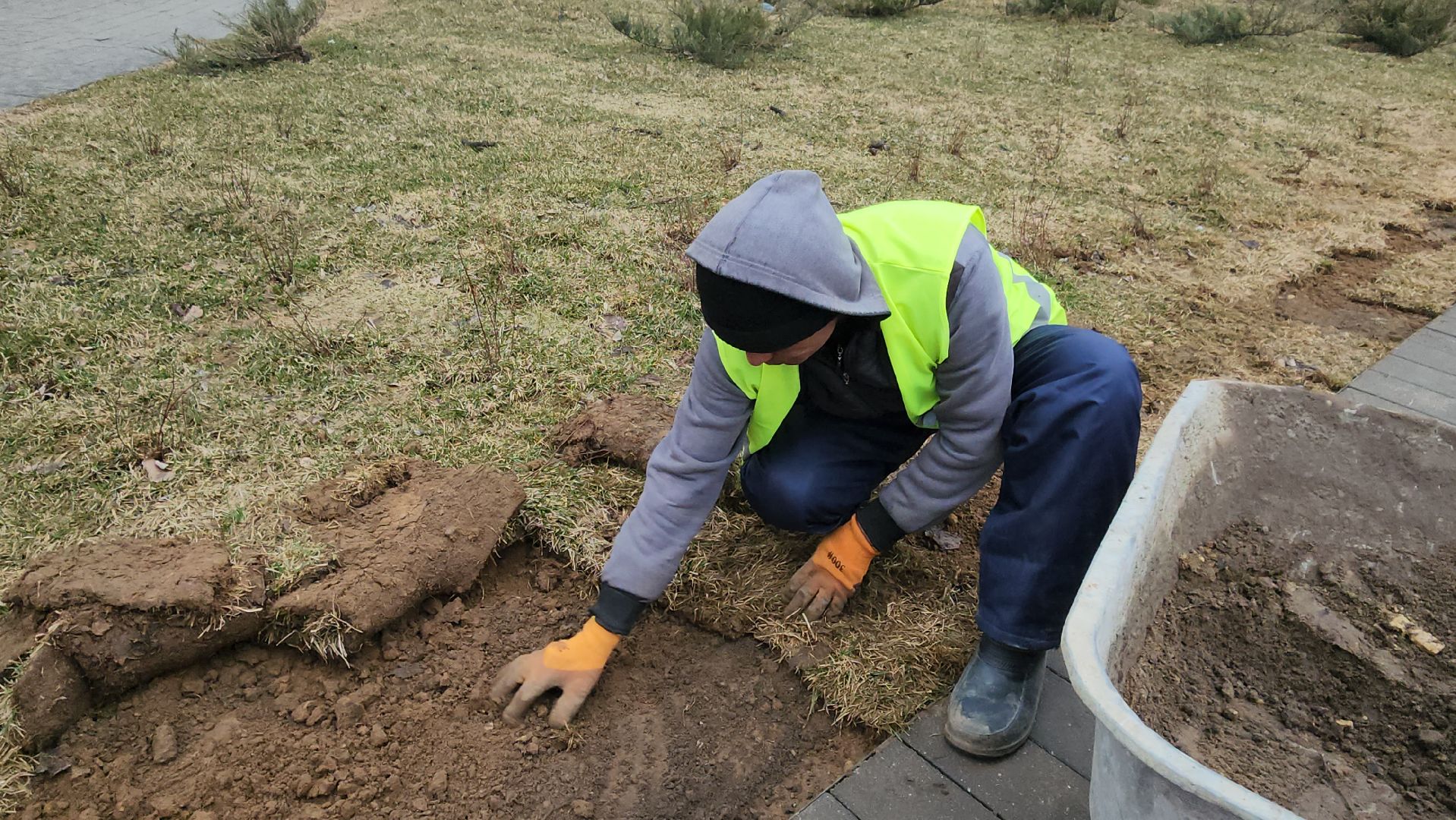 Люберцы, Наташинский парк, уборка, благоустройство,