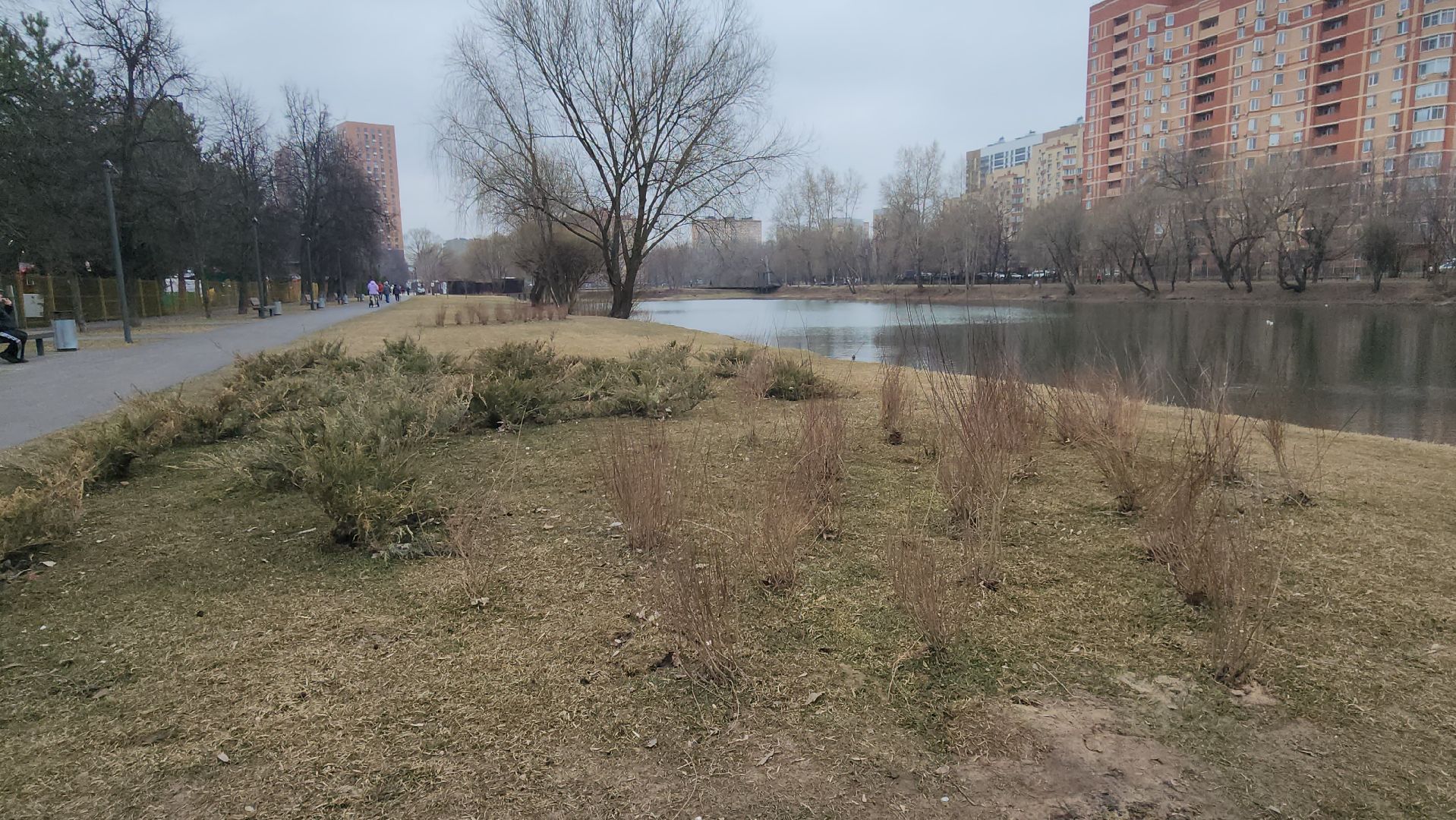 Люберцы, Наташинский парк, уборка, благоустройство,