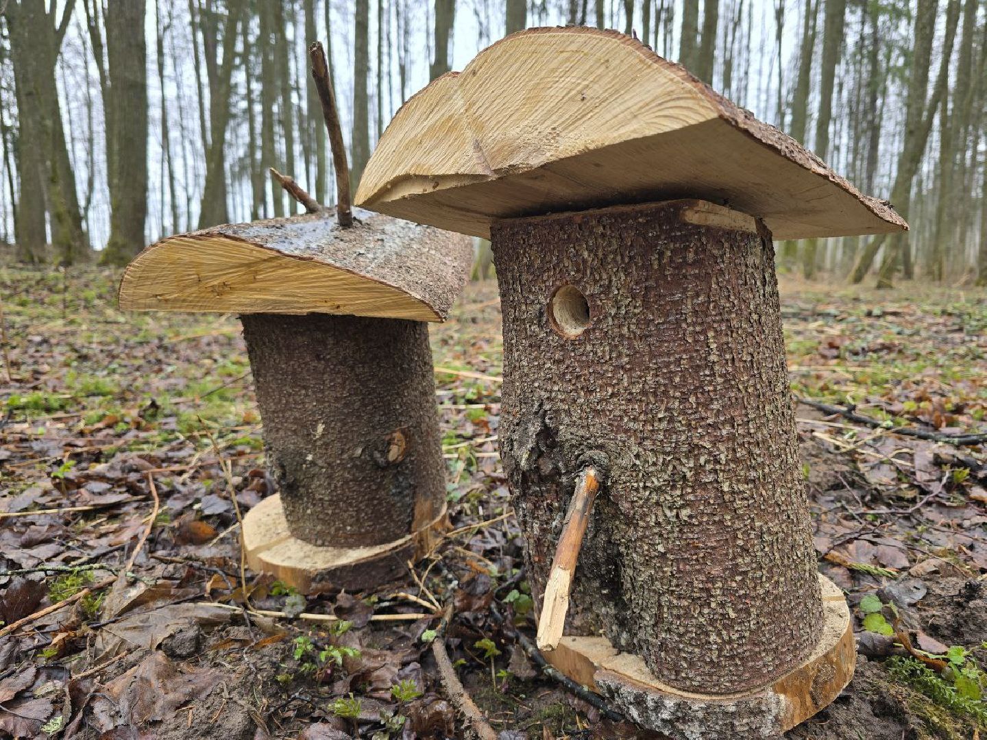 можайск, можайский муниципальный округ, подмосковье, международный день птиц, птицы, скворечники, дуплянки, дома для птиц,