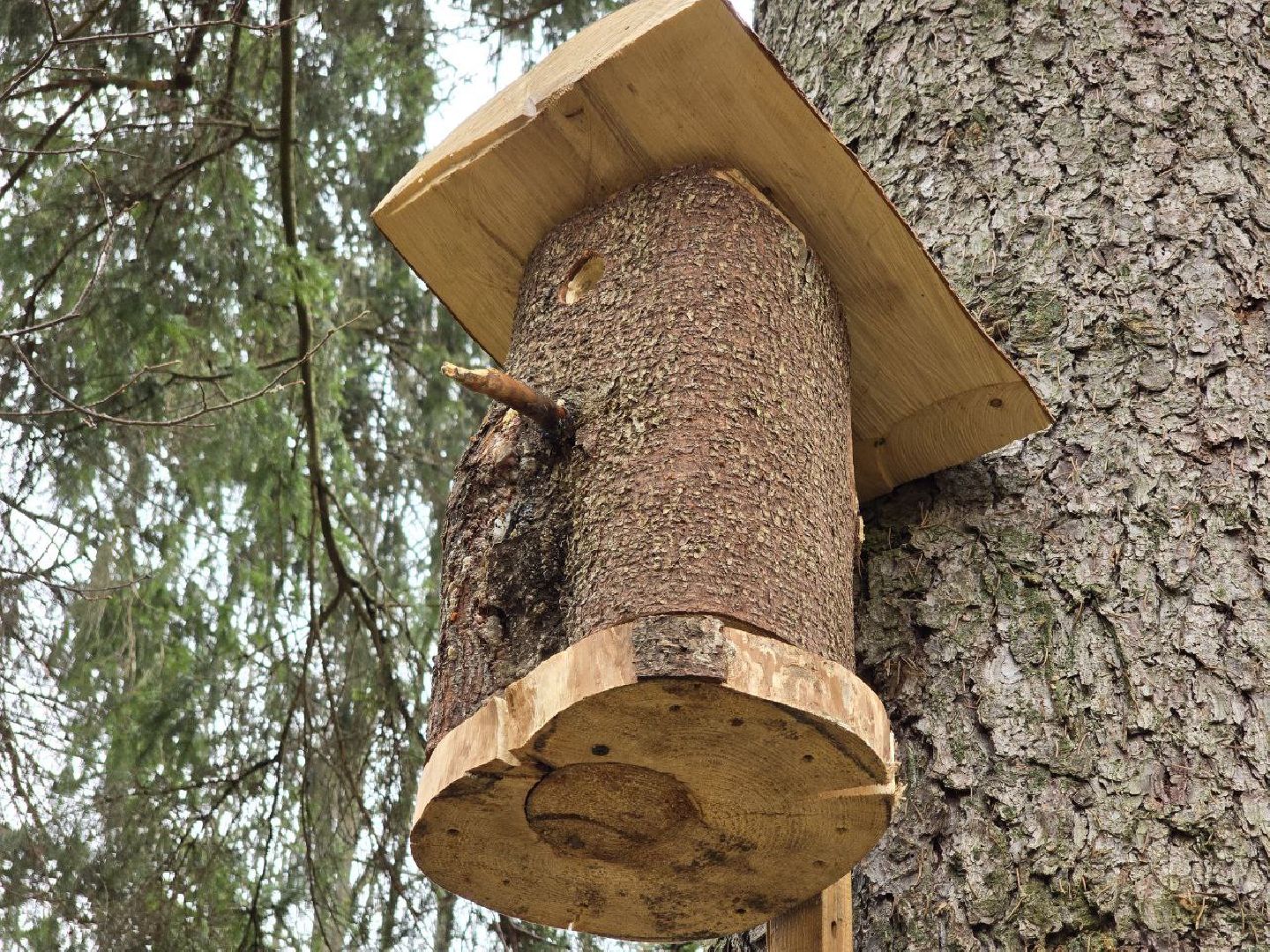 можайск, можайский муниципальный округ, подмосковье, международный день птиц, птицы, скворечники, дуплянки, дома для птиц,