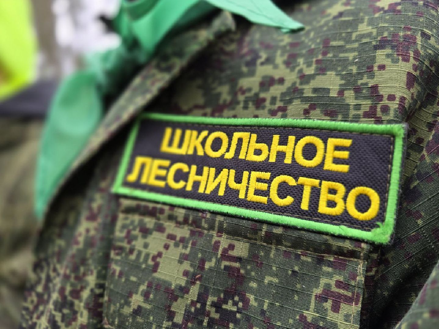 можайск, можайский муниципальный округ, подмосковье, международный день птиц, птицы, скворечники, дуплянки, дома для птиц,