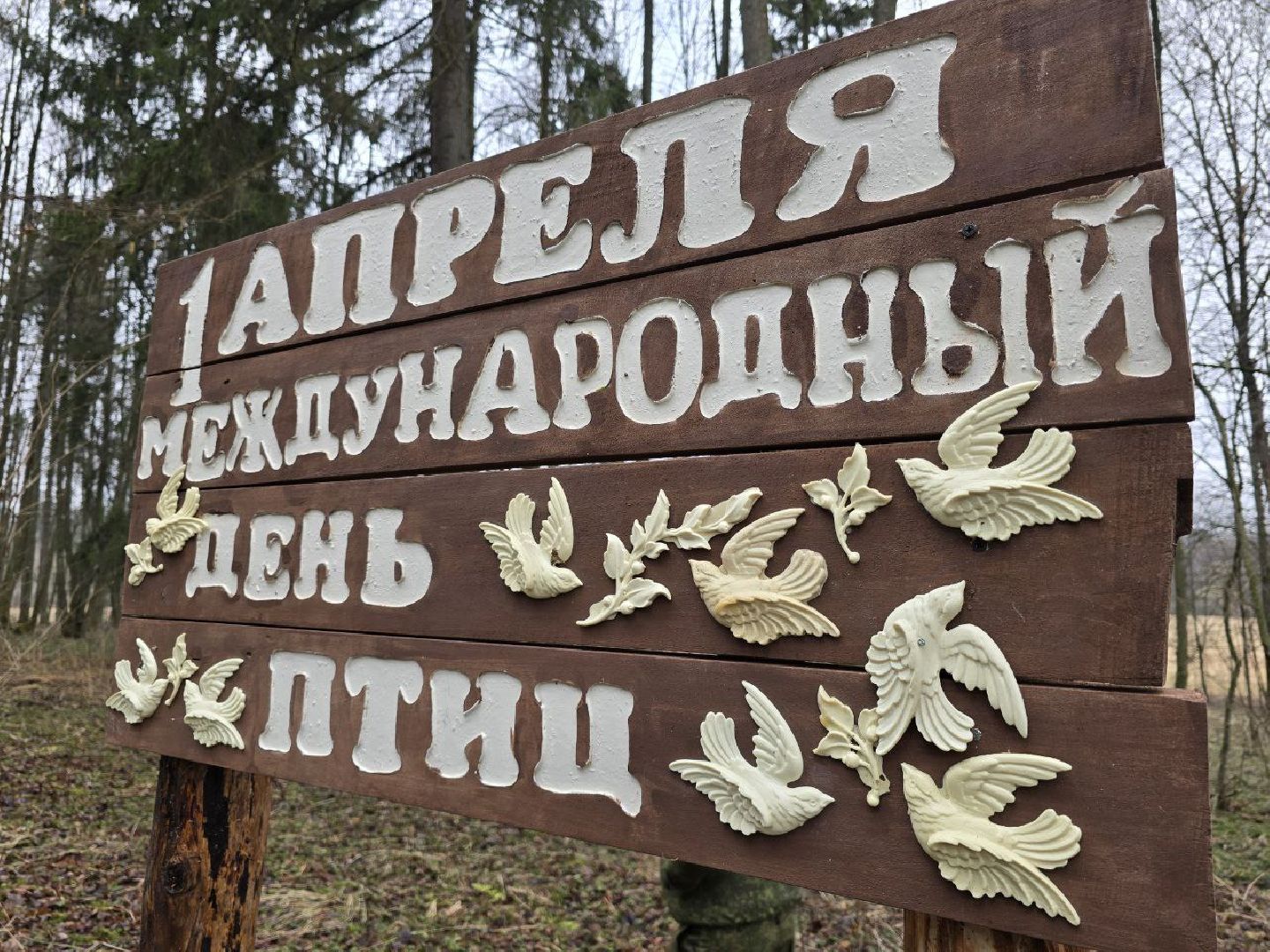 можайск, можайский муниципальный округ, подмосковье, международный день птиц, птицы, скворечники, дуплянки, дома для птиц,