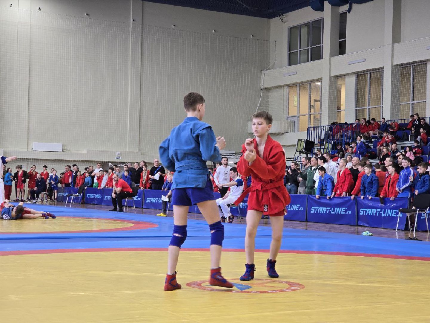 можайск, можайский муниципальный округ, подмосковье, спорт, соревнования, первенство московской области по самбо,