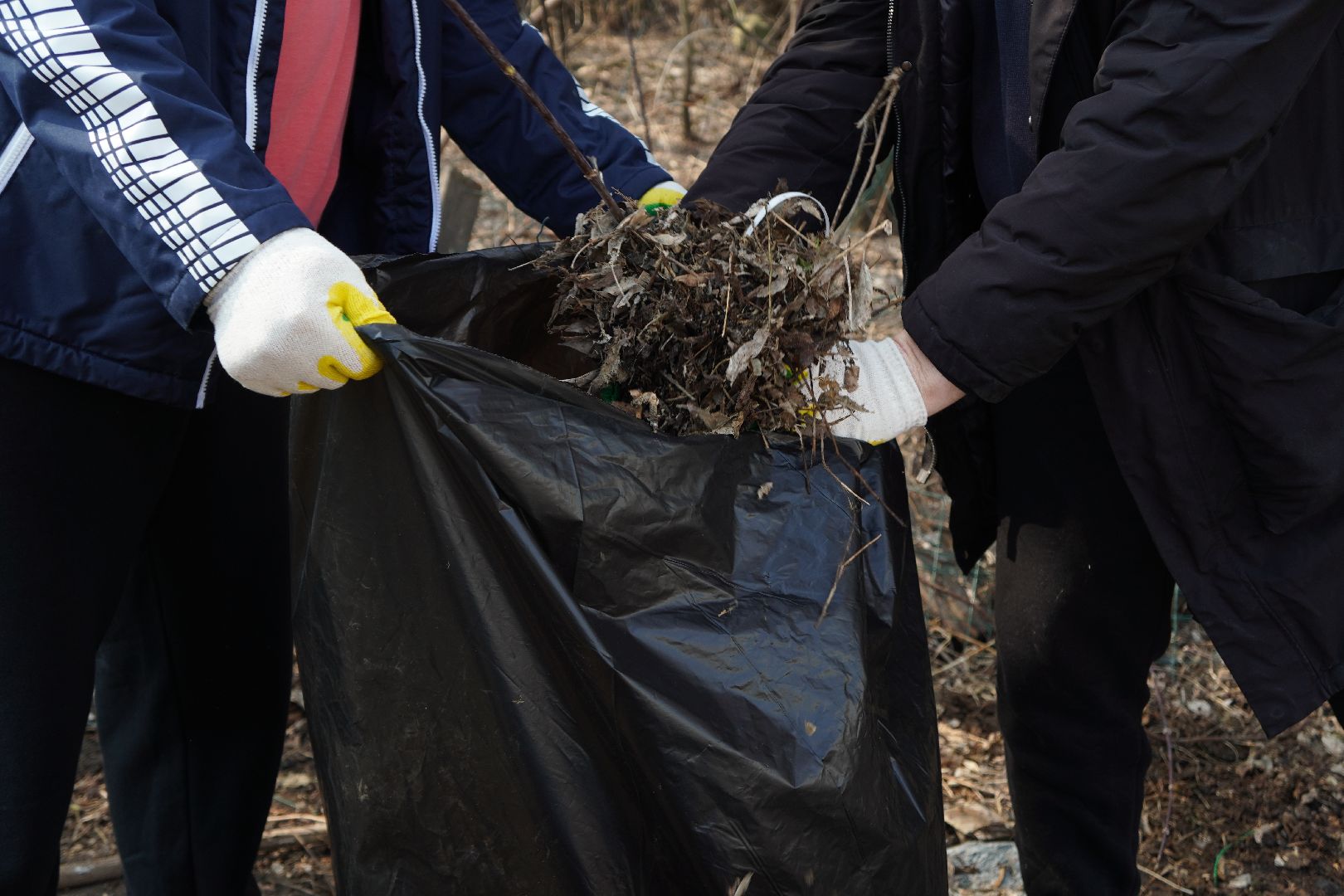 котельники, благоустройство, уборка территории, субботник,
