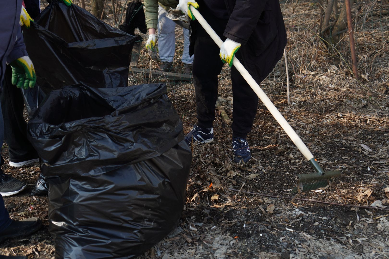 котельники, благоустройство, уборка территории, субботник,